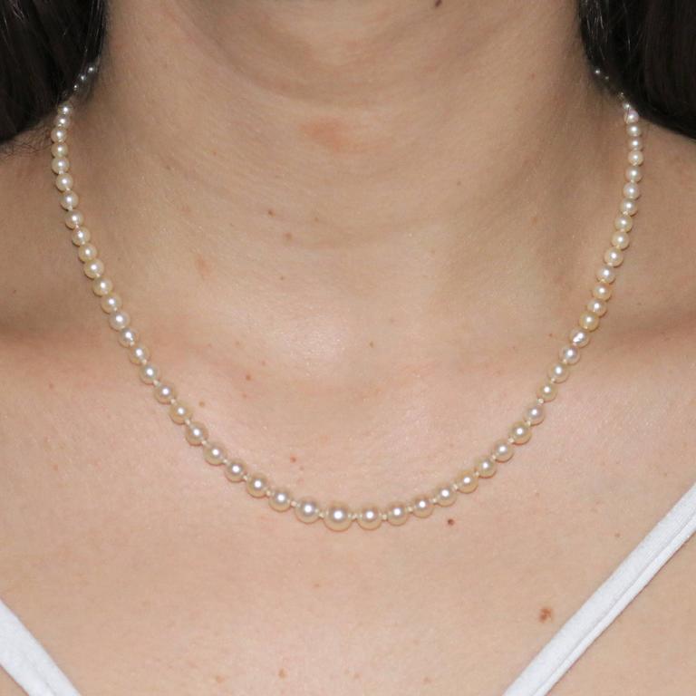 Antique Edwardian Pearl Necklace Sapphire Diamond Clasp in Original Box at 1stDibs pearl