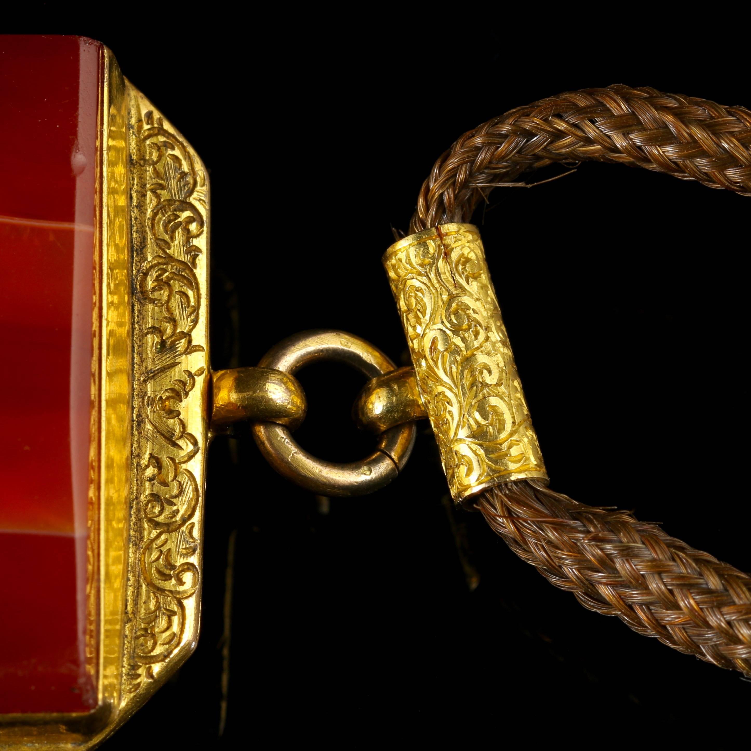 Antique Georgian Agate Locket Vinaigrette Long Mourning Necklace For Sale 2