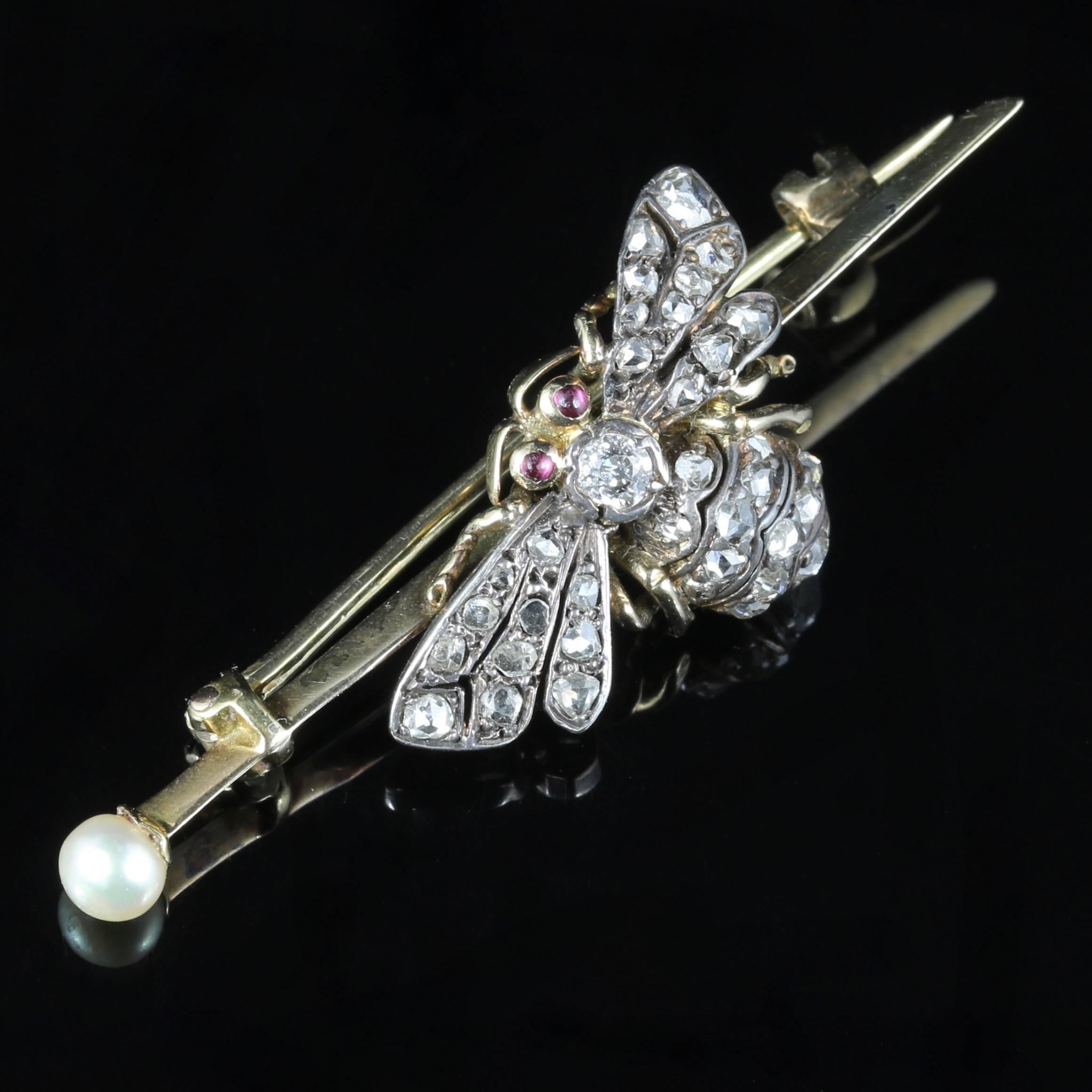 Antique Victorian Diamond Insect Butterfly Brooch 18 Carat Gold, circa 1900 In Excellent Condition In Lancaster, Lancashire
