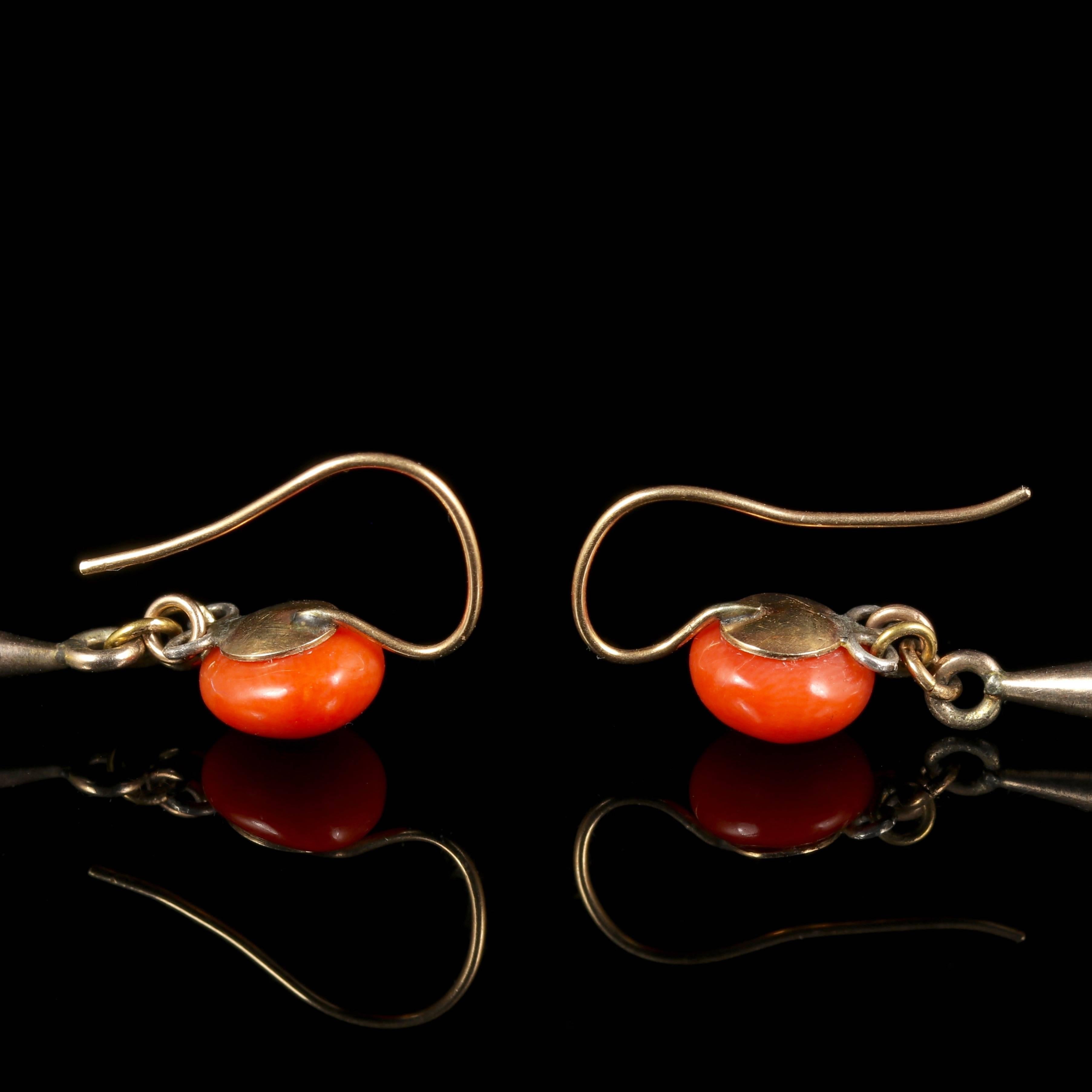 Antique Victorian Coral Gold Long Earrings, circa 1880 1