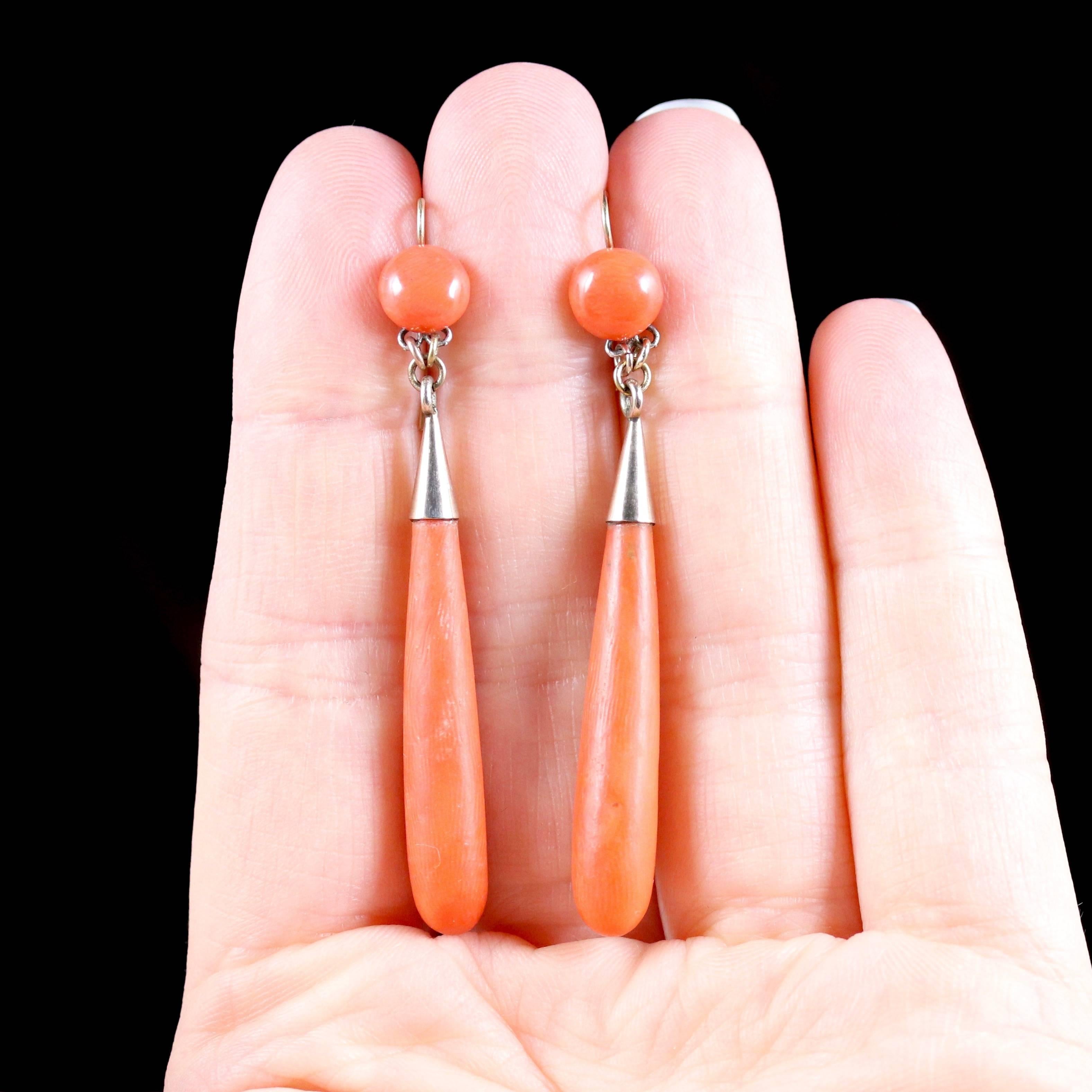 Antique Victorian Coral Gold Long Earrings, circa 1880 3