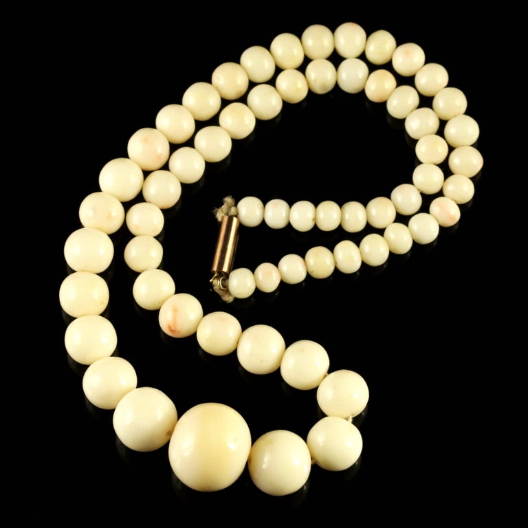 Antique Victorian White Coral Necklace, circa 1900 at 1stDibs