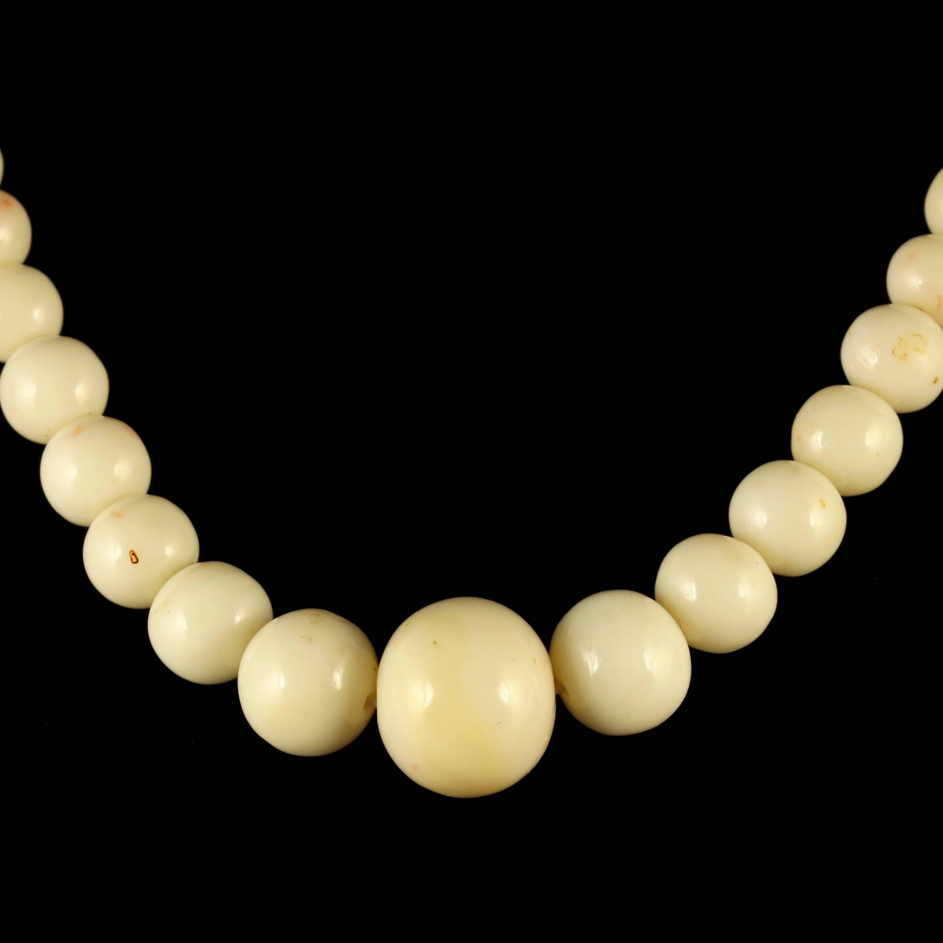 This fabulous Victorian White Coral necklace is Circa 1900.

The White Coral beads graduate around the neck, which leads to Gold clasp.

White Coral is a stone that is obtained from the sea where it is an outgrowth in leafless bushes. The auspicious