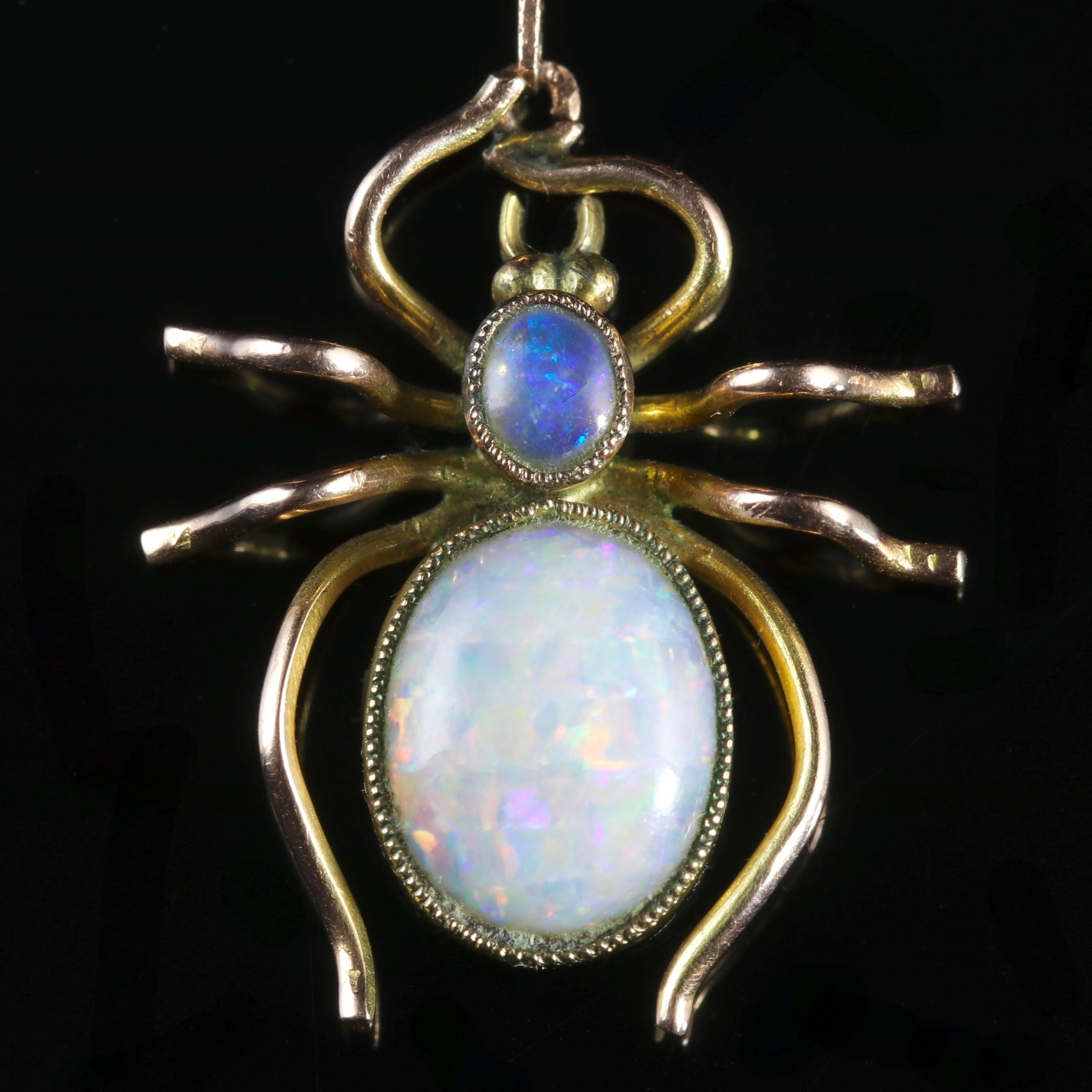 To read more please click continue reading below-

This fabulous 9ct Yellow Gold Victorian Opal necklace is Circa 1900.

The pendant depicts a spider chasing a fly with a 2ct Opal adorning the spiders back and deeper blue opals decorating the flies