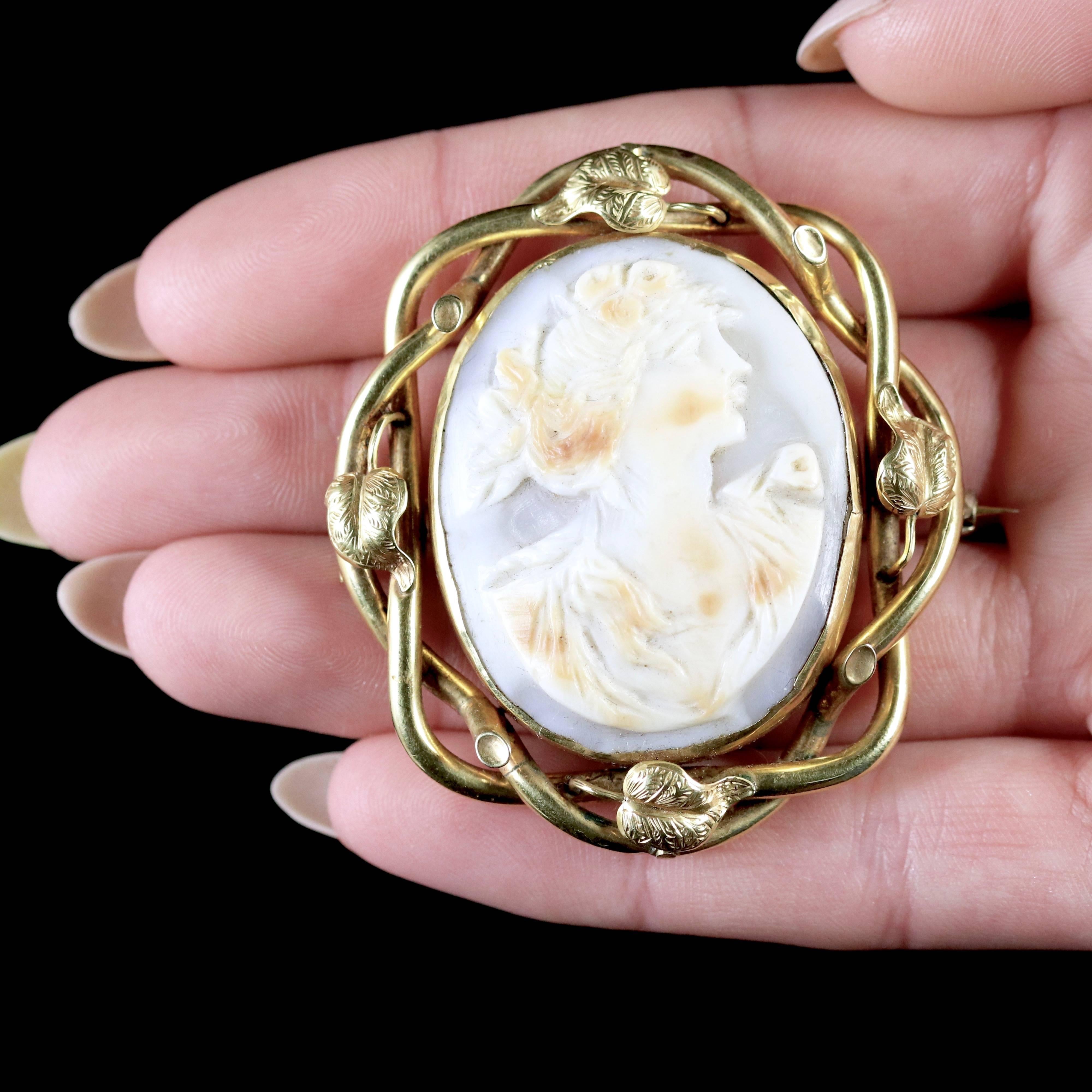 Antique Boxed Gold Cameo Swivel Brooch, circa 1900 For Sale 5