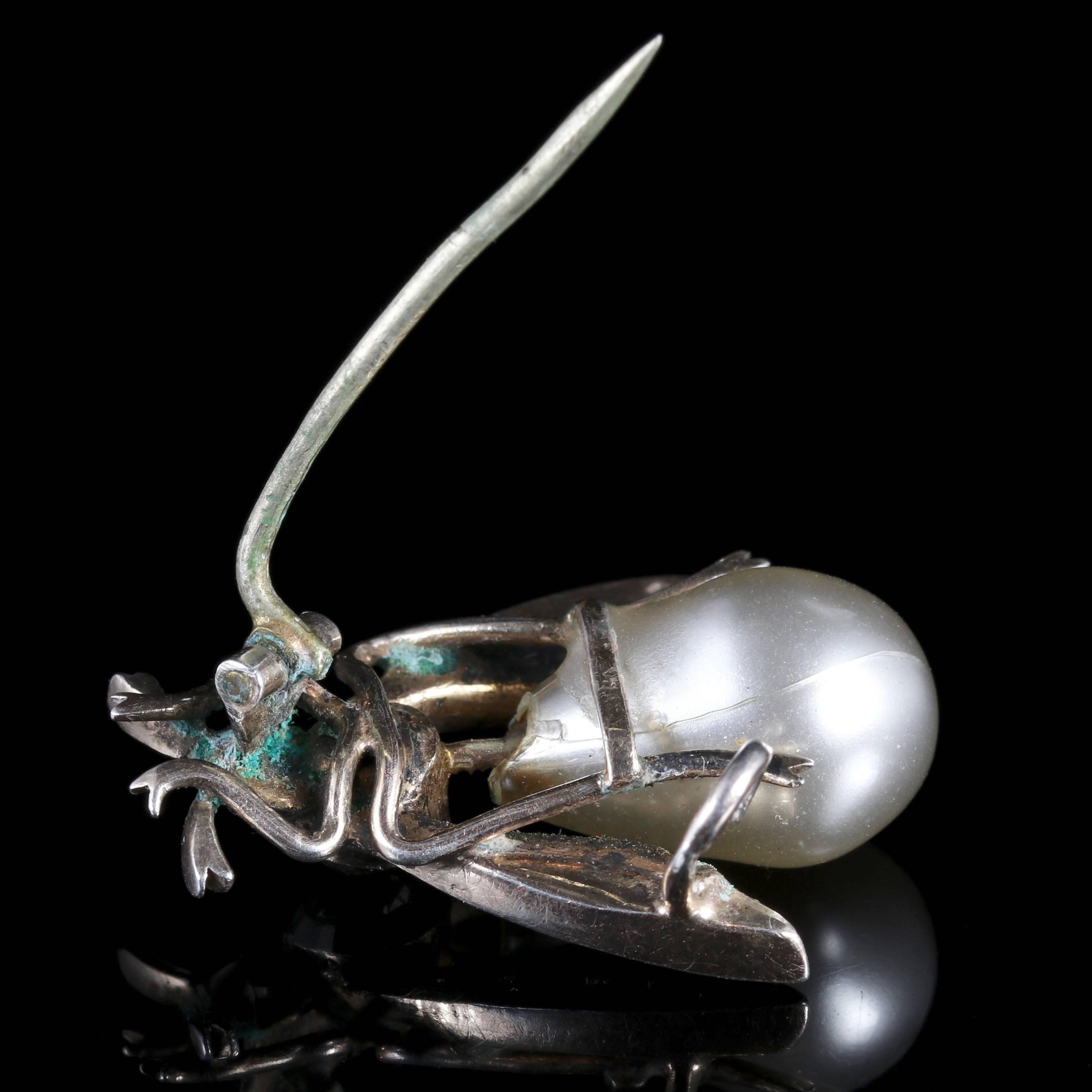 Antique Victorian Pearl Paste Bug Brooch 4