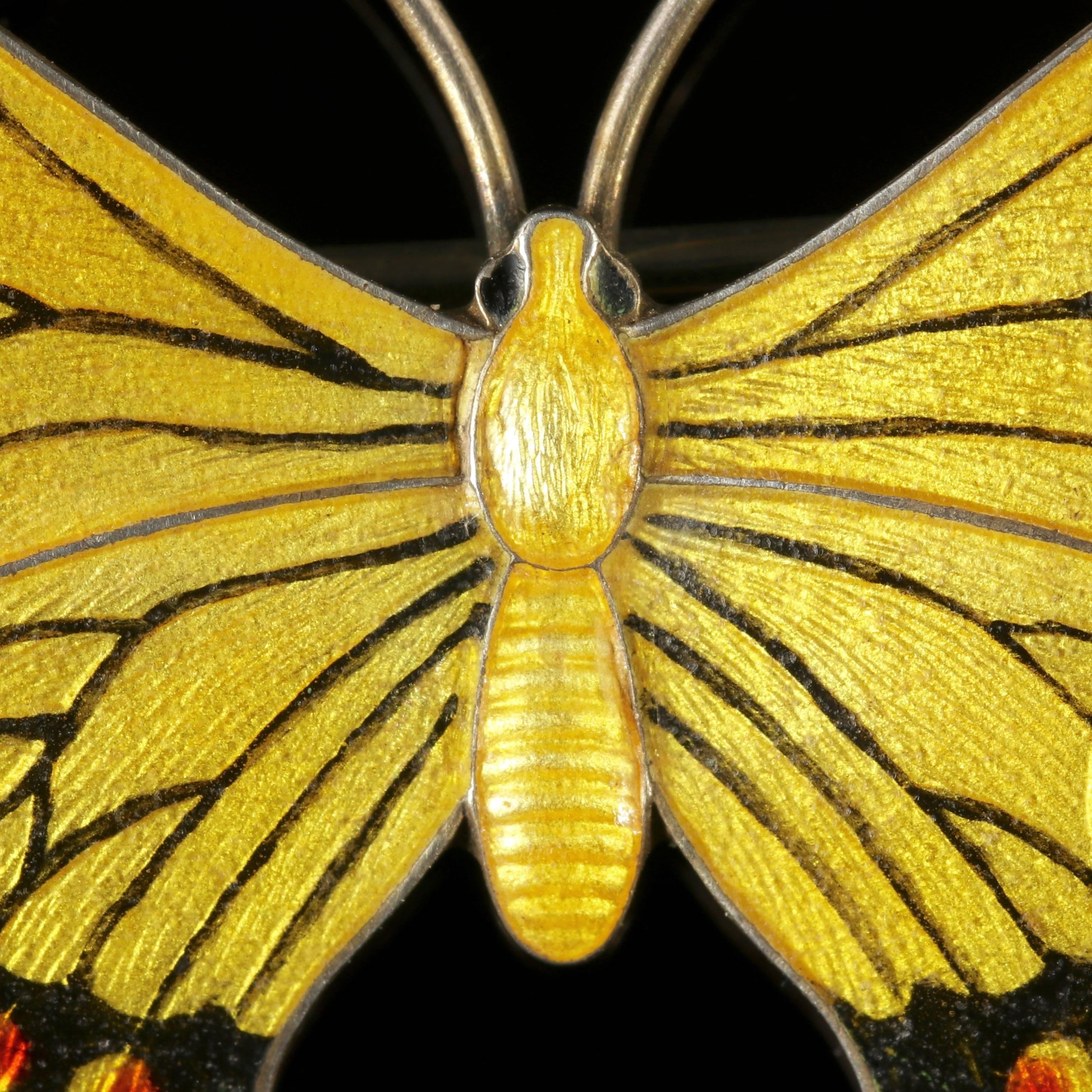 To read more please click continue reading below-

This fabulous Sterling Silver butterfly brooch is fully hallmarked Birmingham 1916.

The beautiful butterfly displays striking yellow Enamel detail with black, gold borders and red spots on the