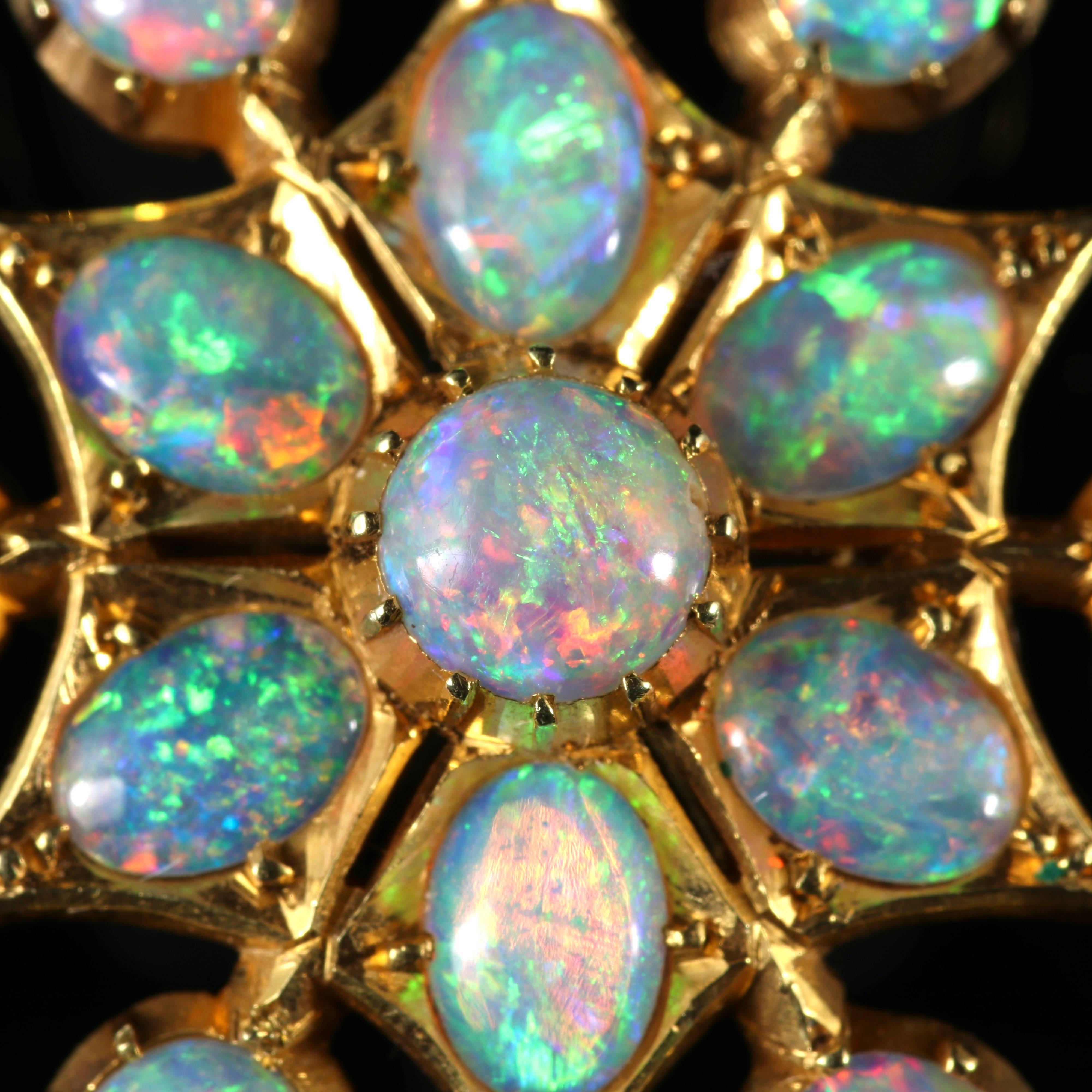 This very beautiful brooch is from the Victorian era set with natural Opals and modelled in 18ct Gold.

Thirteen fabulous natural colourful Opals adorn this spectacular show piece.

The lovely natural Opal is a kaleidoscope of rainbow colours