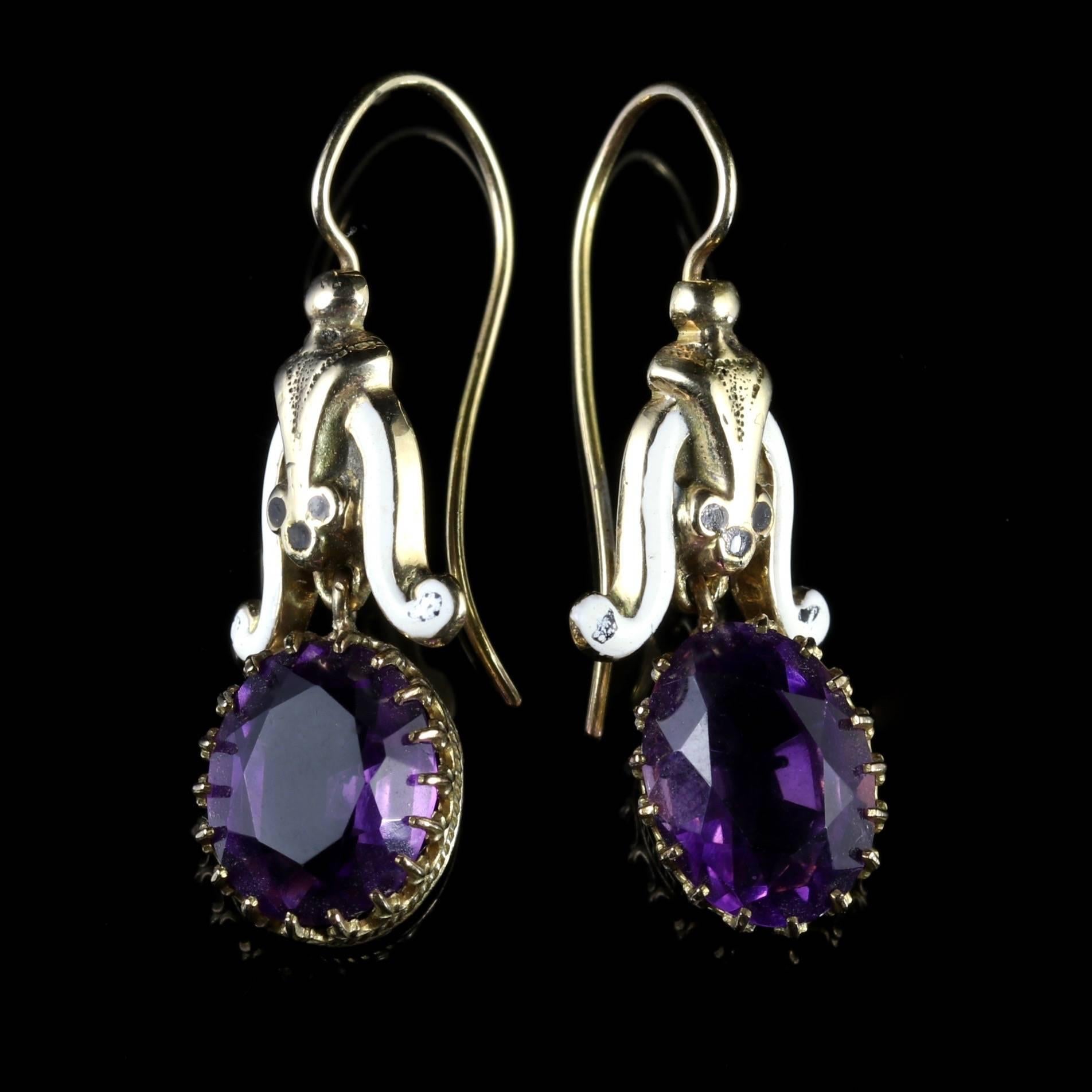 These fabulous 18ct Yellow Gold earrings are set with Amethyst stones which are 3ct plus each, Circa 1900.

Beautiful enamelling adorns these prestigious earrings.

Amethyst has been highly esteemed throughout the ages for its stunning beauty and