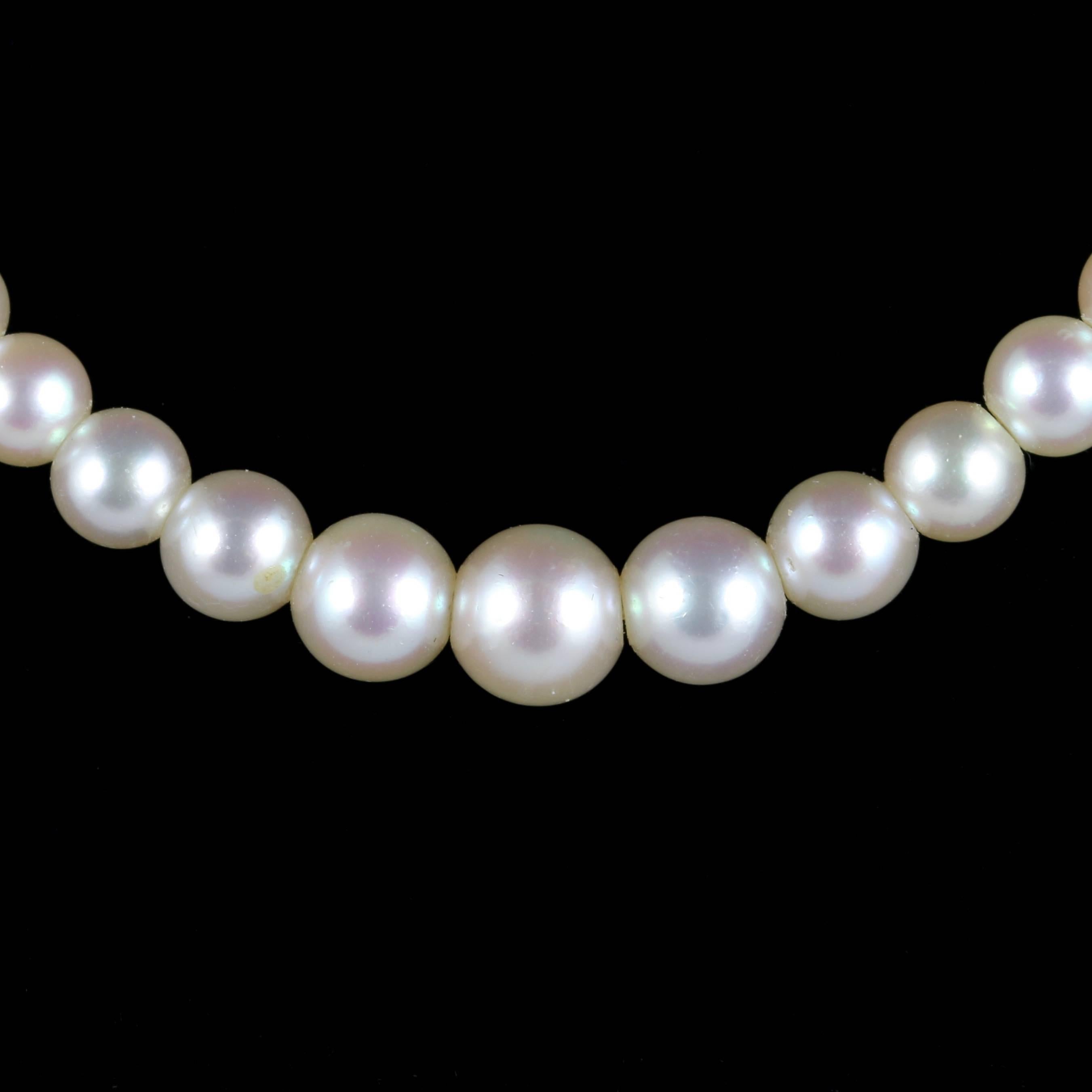 For more details please click continue reading down below...

This very beautiful Antique Victorian Pearl necklace is set with a lovely old cushion cut Diamond clasp.

The Pearls are beautifully graduated, the largest Pearl measuring 6mm and the