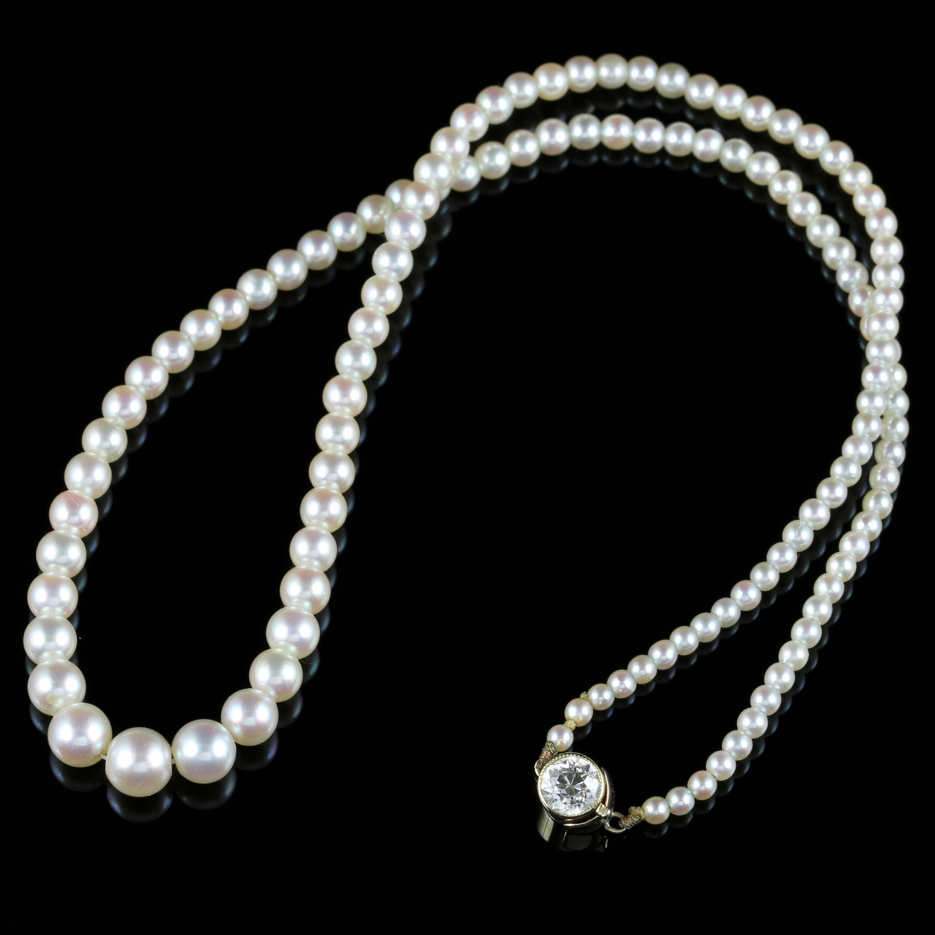 Antique Victorian Pearl Diamond Necklace, circa 1900 In Excellent Condition In Lancaster, Lancashire