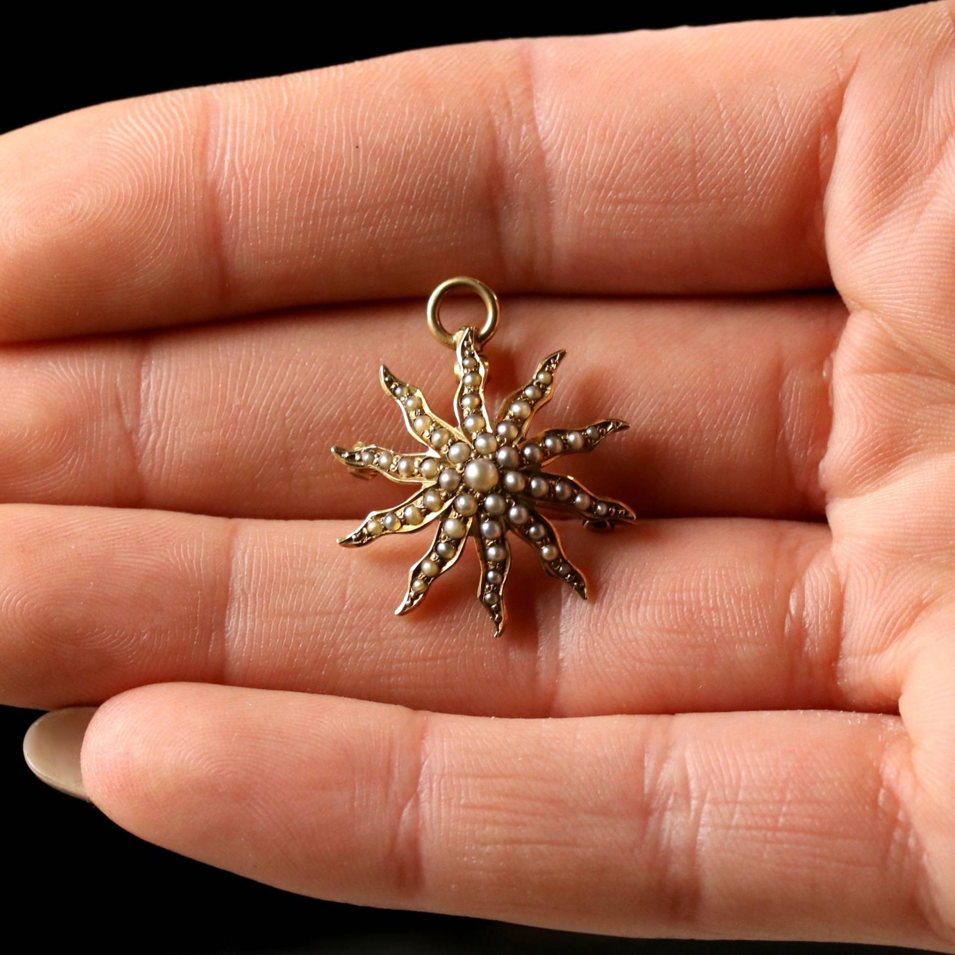 Antique Victorian Pearl Star Brooch Pendant 14 Carat Gold, circa 1880 5