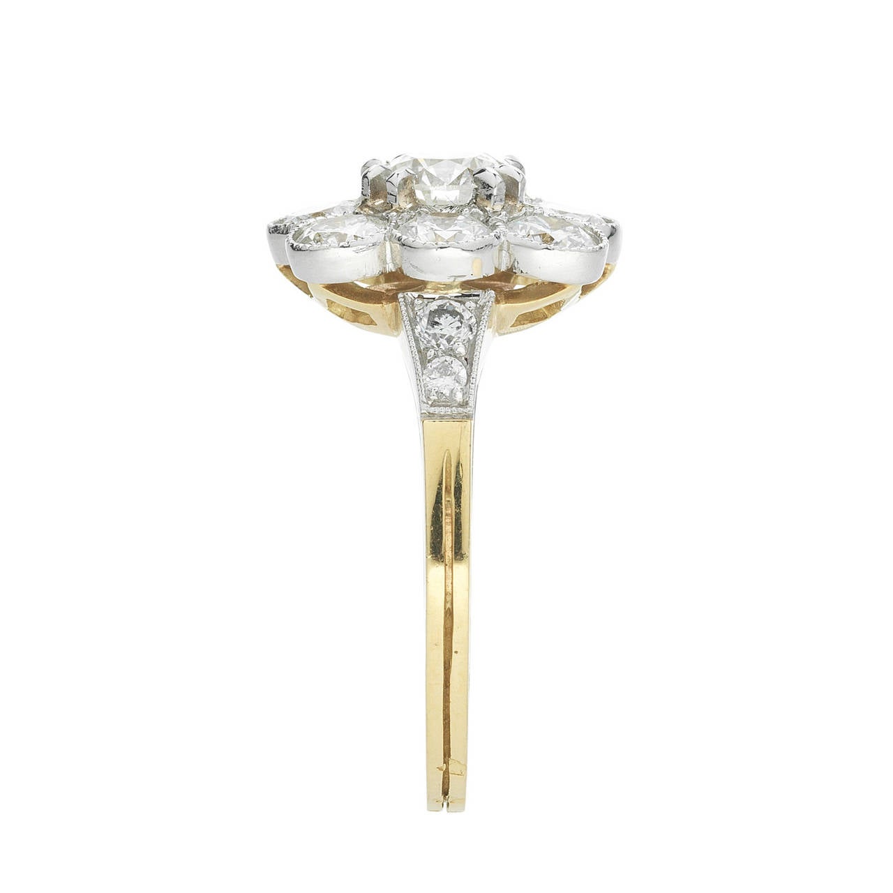 Belle Époque French Diamond Gold Platinum Cluster Ring