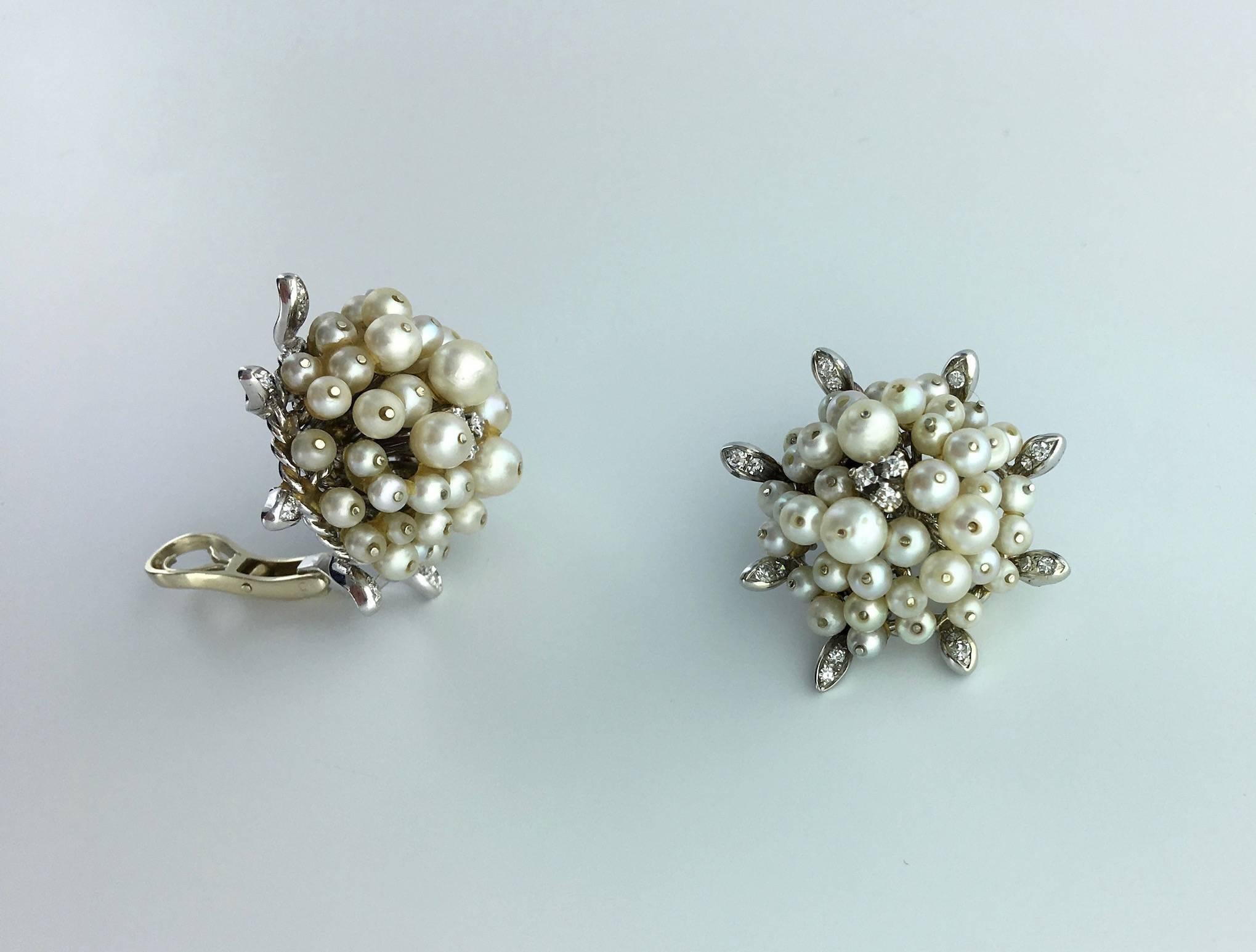 Women's 1955 Pearl Diamond Gold Earrings