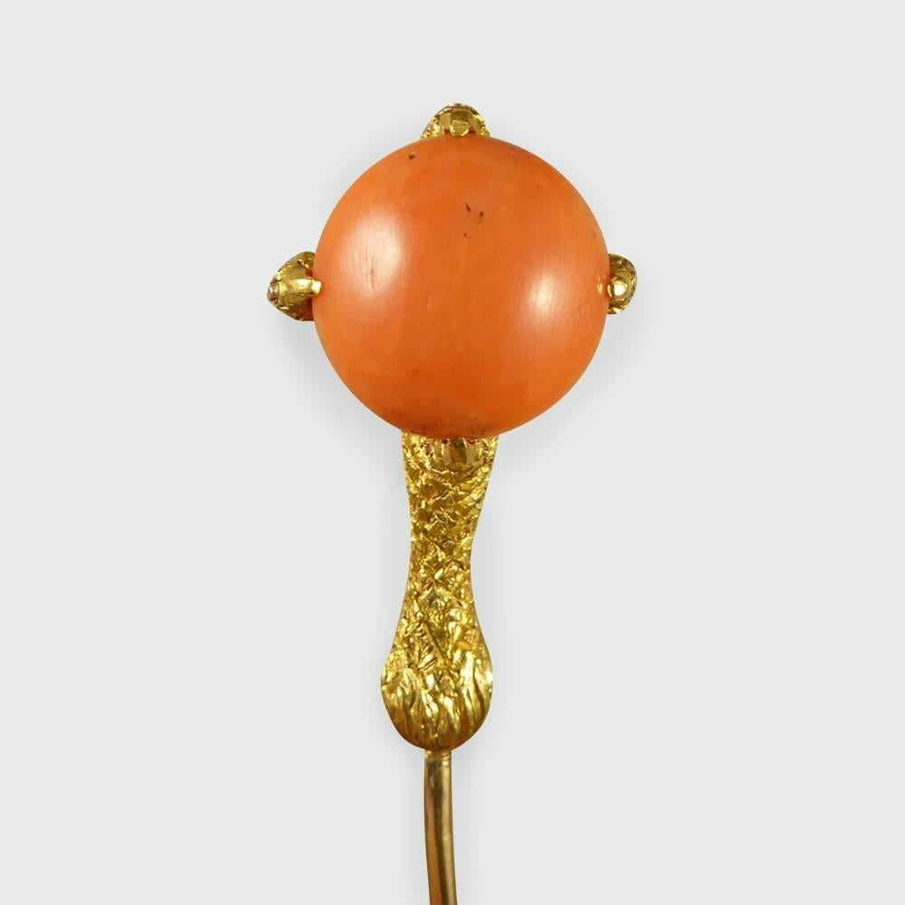 This stunning deep orange coral egg is tightly grasped by a realistically rendered eagle's claw in this sensational Victorian stickpin. Coming in its original leather and velvet fitted box, showing its age and use with the clasp on the box being