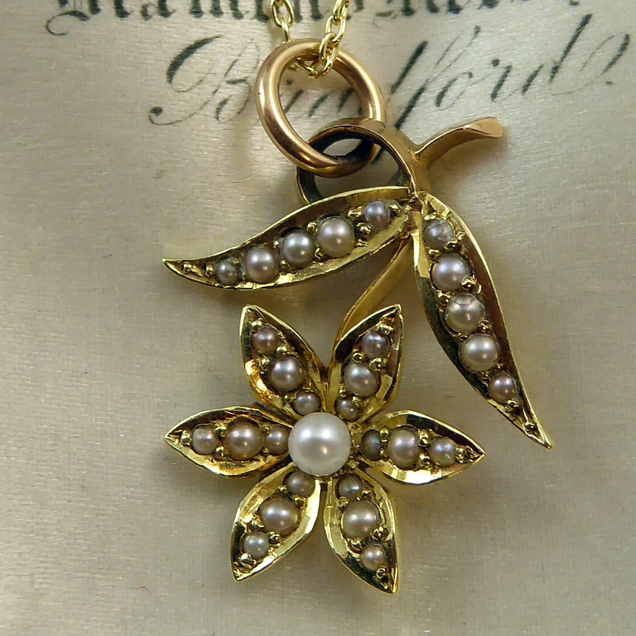 Victorian 15 Carat Pearl Flower Pendant, circa 1900 on 9 Carat Gold Chain In Excellent Condition In Yorkshire, West Yorkshire