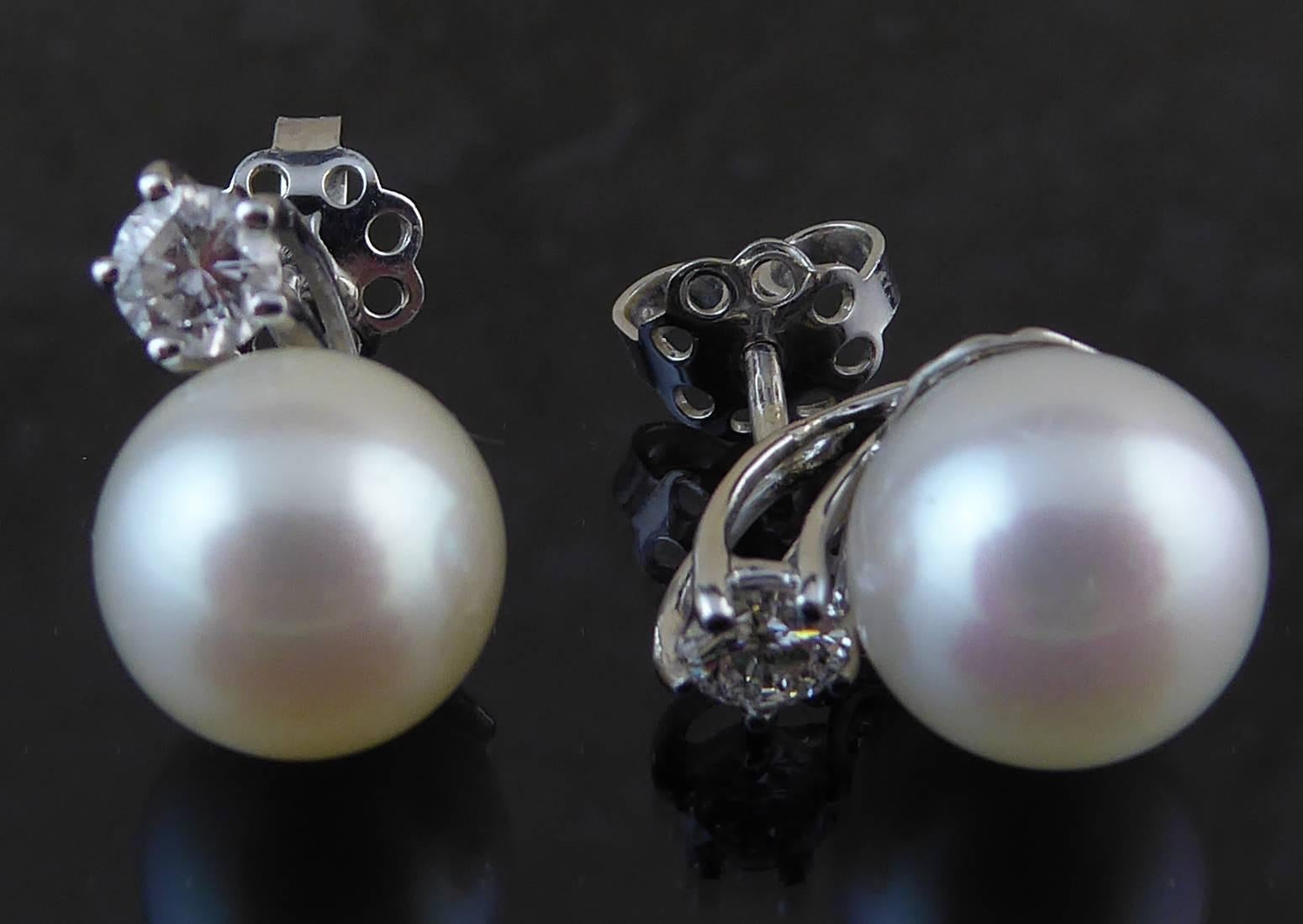 Women's South Sea Cultured Pearl Diamond Stud Earrings