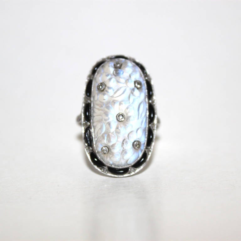Edwardian Carved Moonstone Belle Epoque Ring