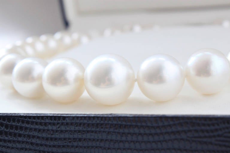 Impressive South Sea Pearls Necklace In Excellent Condition In Idar-Oberstein, DE