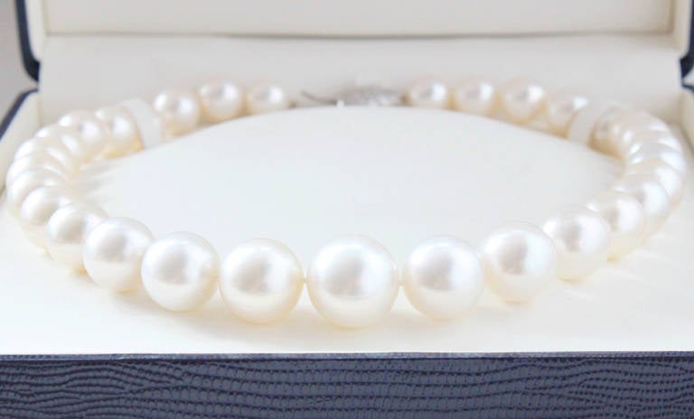 Women's Impressive South Sea Pearls Necklace