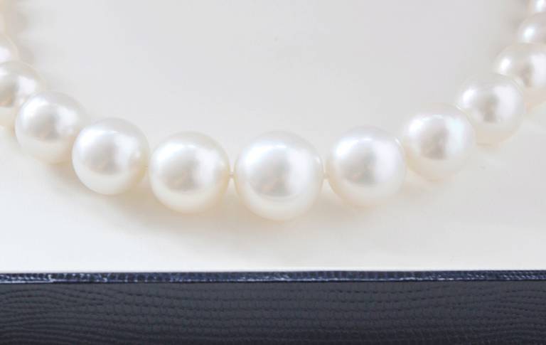 Impressive South Sea Pearls Necklace 1
