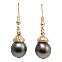 Black South Sea Pearl Diamond Earrings 7