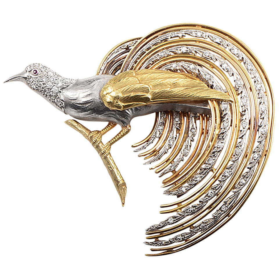 Diamond Gold Platinum Bird Brooch