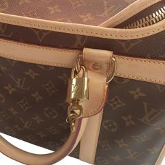 Louis Vuitton Dog Carrier 40