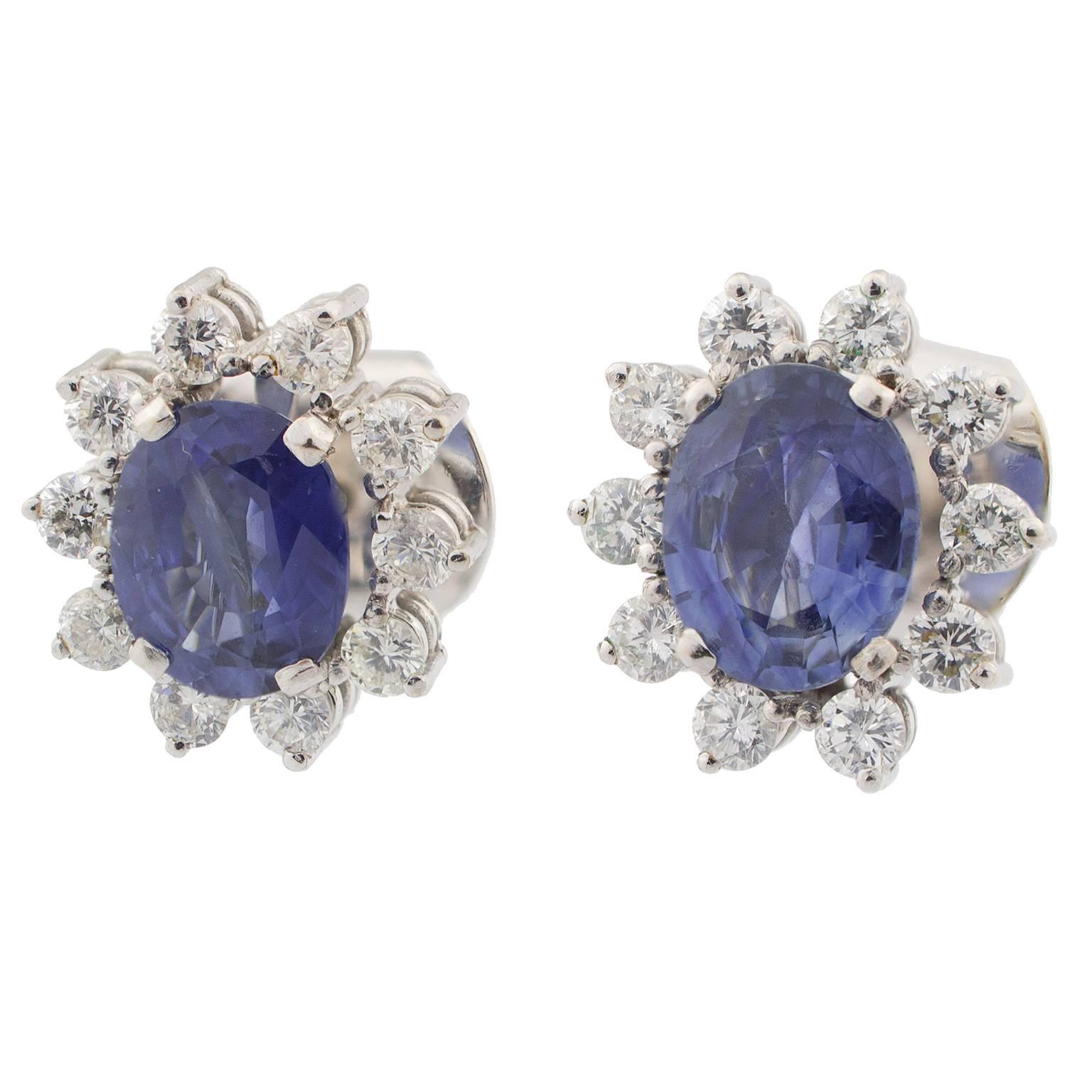 Sapphire and Diamonds earrings set with two oval cut blue sapphires with a total of 3.80 carats, surrounded by 20 round brilliant cut diamonds totalling 1.00 carats.