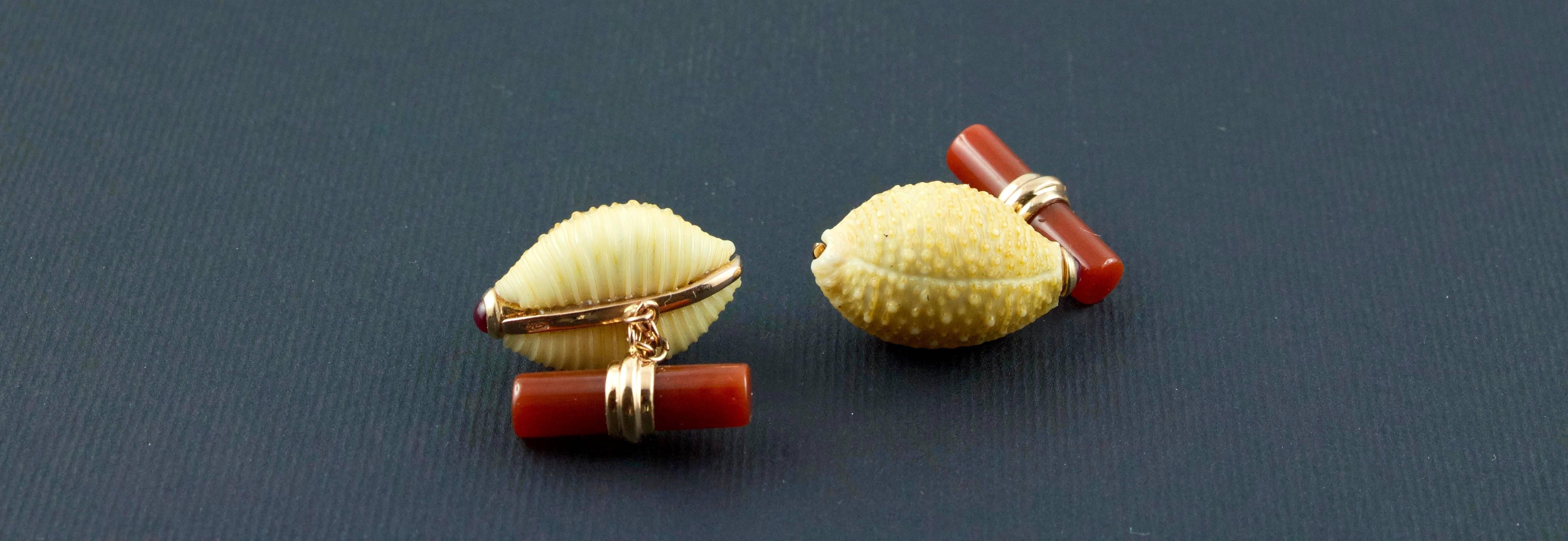 This striking pair of cufflinks features a front face made of a single natural shell, the dorsum surface is pale yellowish with a thin longitudinal line in the middle and many small round protuberances . The top of the shell is adorned with a ruby