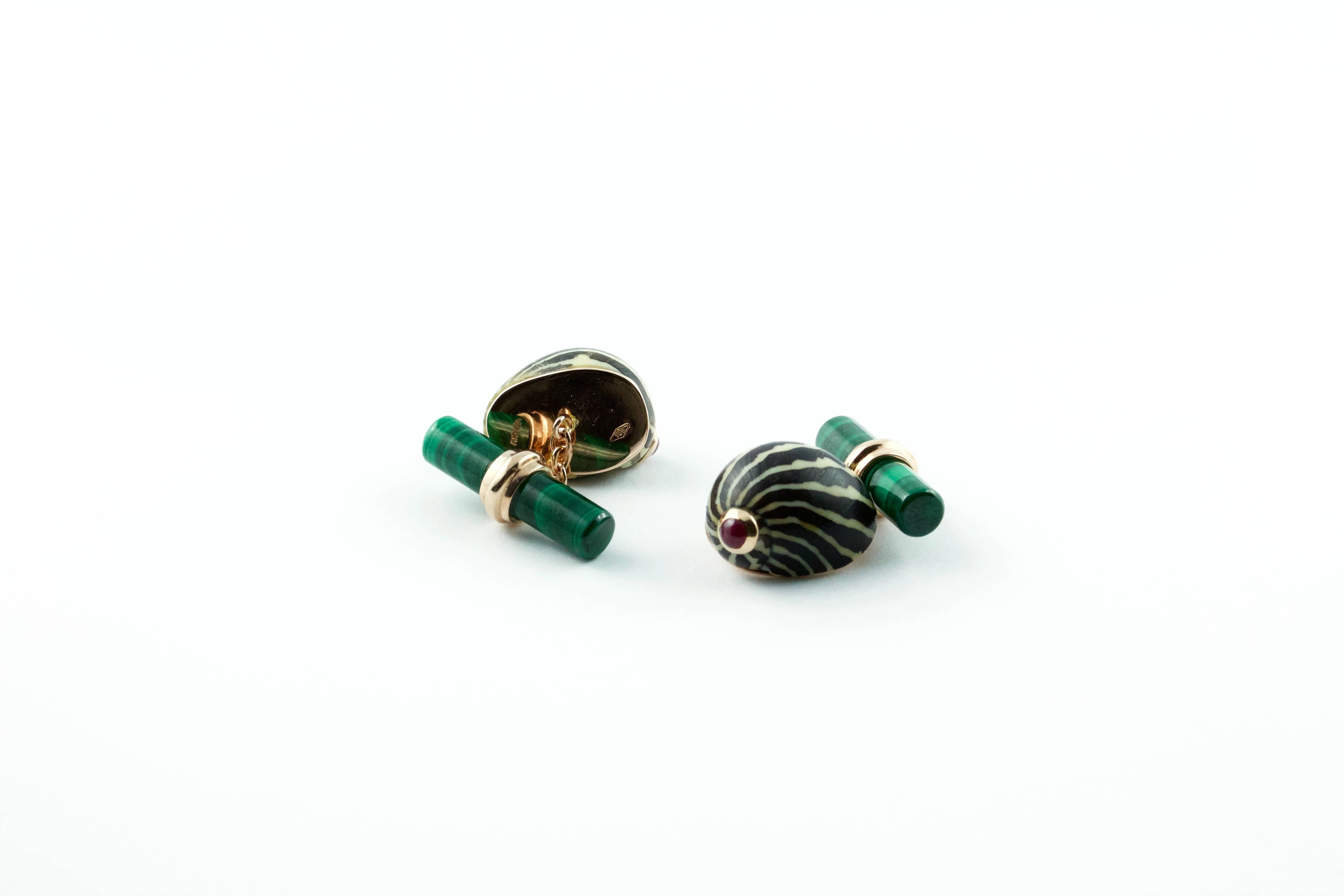 These striking cufflinks feature a front face made of a Zebra Nerita shell and the toggle is in malachite. 
The shell is golden-brown in color and has black stripes running back from the aperture to the apex creating a zebra-like look.
The natural