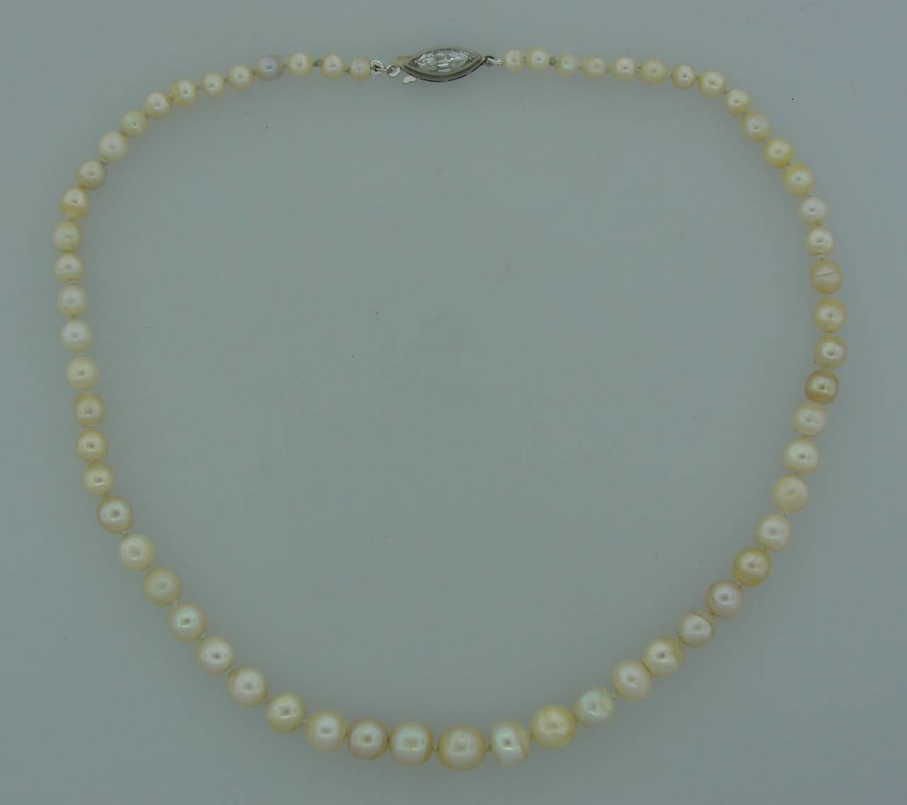 Classy and timeless pearl strand finished with diamond and platinum clasp. Features sixty one natural saltwater pearl. Originally the pearls were in a different necklace that was restrung. That original necklace came with a GIA natural pearl