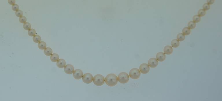 Women's Tiffany & Co. Natural Pearl Necklace with Diamond and Platinum Clasp