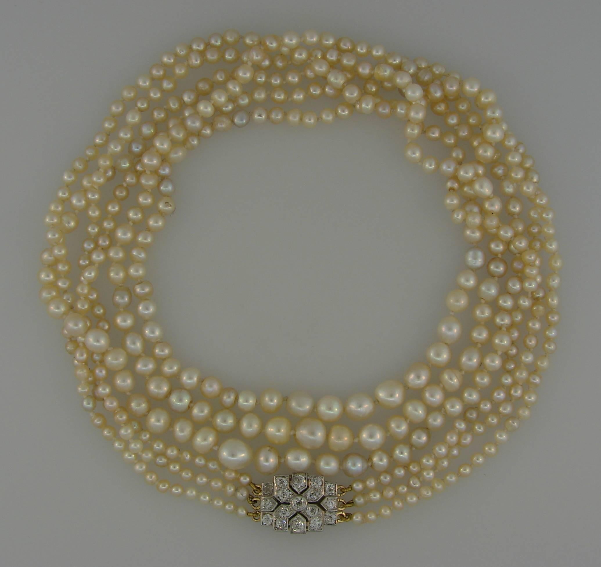saltwater pearls necklace