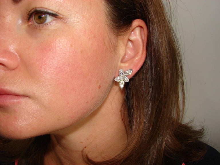 Harry Winston Diamond Platinum Cluster Earrings For Sale at 1stDibs | harry  winston cluster earrings price, winston cluster price, winston cluster  large diamond earrings price