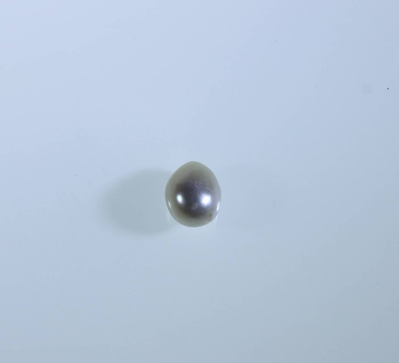 Natural Pearl Drop Unmounted GIA Certified as Natural Pearl
Size: 10.24 x 8.44
Weight: 4.42 carats 
Partially Drilled
Natural Pearls are Rare and prices are escalating.

Was in a Tie pin that was in the Nizam of Hyderabad Collection acquired