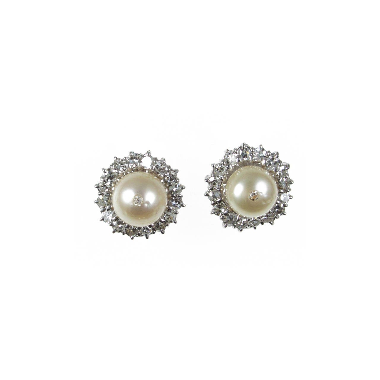 Natural Button Pearl and Diamond Earrings in White Gold.
Designed by Amyn The Jeweler.
The Natural Pearls are GIA certified as Natural Saltwater.
Natural Pearls are getting extinct and specially large sizes are hard to get.
Natural Pearls are