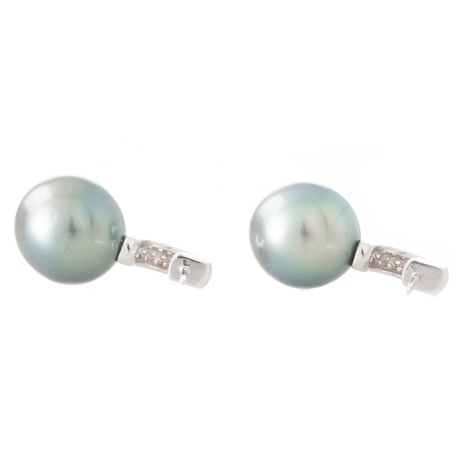 A pair of large drop shaped green Tahitian South Sea pearls with blue overtones measuring 12 - 13mm with a high lustre and very few natural surface marks set beneath half hoop stud drop fittings pave set with diamonds in 18ct white gold. Total