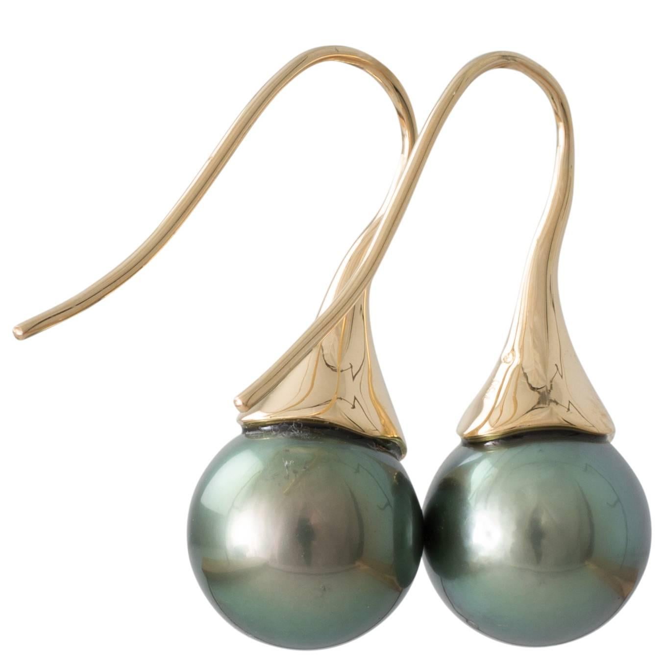 A pair of round green Tahitian South Sea pearl tulip hook earrings in 18ct yellow gold with pearls measuring 11.7 - 11.7mm with a good lustre and very few natural surface marks.
