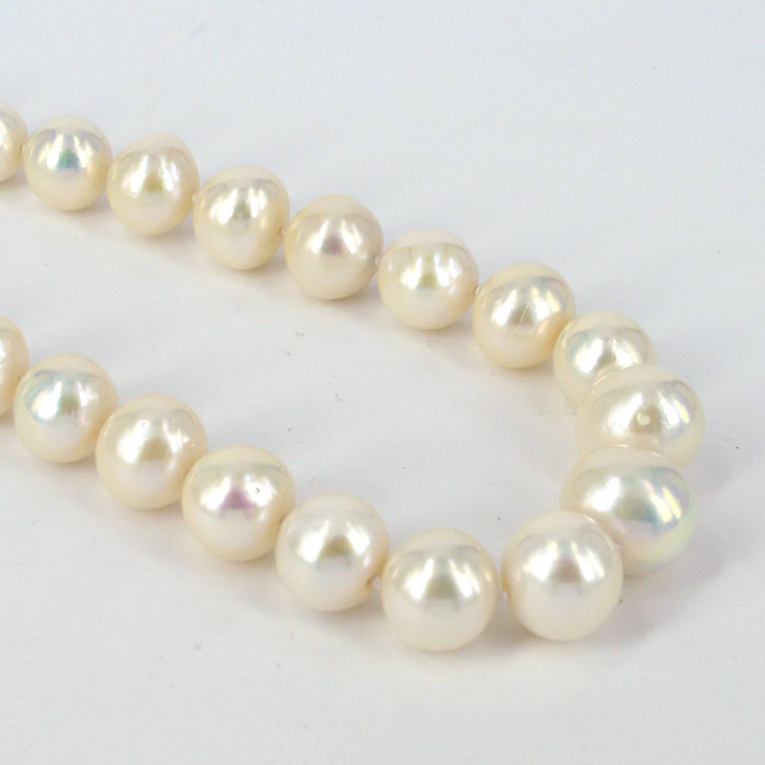 Edison cultured pearls are nucleated with beads, like saltwater pearls. The beads are implanted into mussels, selected through genetic research, with a special technique that has been kept a closely guarded secret.
Silky smooth creamy lustre in an