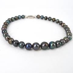 Graduated Strand Round Peacock Pearls Sterling Silver Necklace