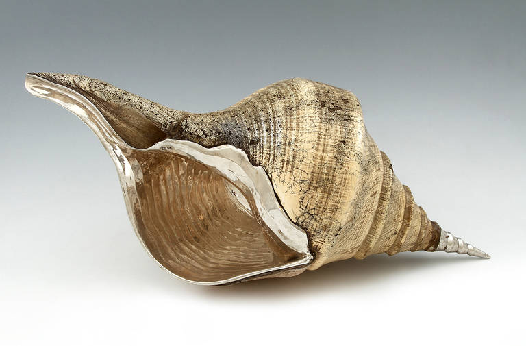 A massive conch shell with naturalistic silver mounts with maker’s marks of Luiz Ferreira and Venâncio Pereira, Lda (1976), and assay marks of Oporto (1938-1984).

The work of Luiz Ferreira (1910-1994) was and still is a demonstration of the