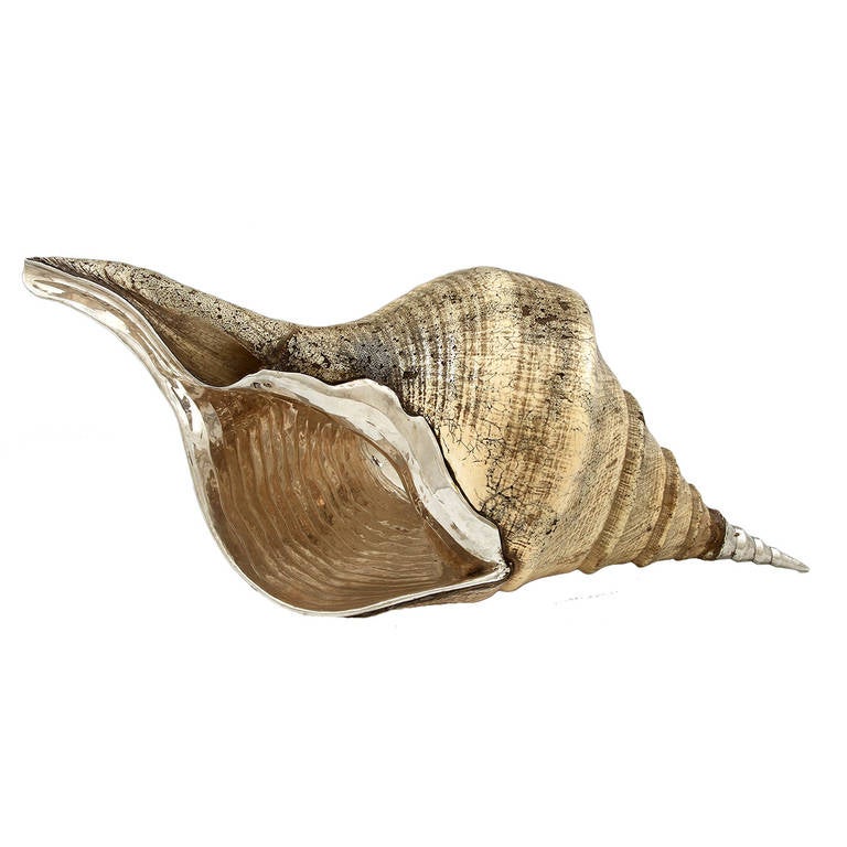 A Luiz Ferreira Conch Shell with Silver Mounts For Sale