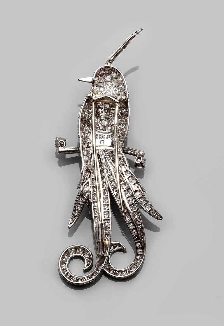 Ruby Diamond Platinum Bird of Paradise Brooch