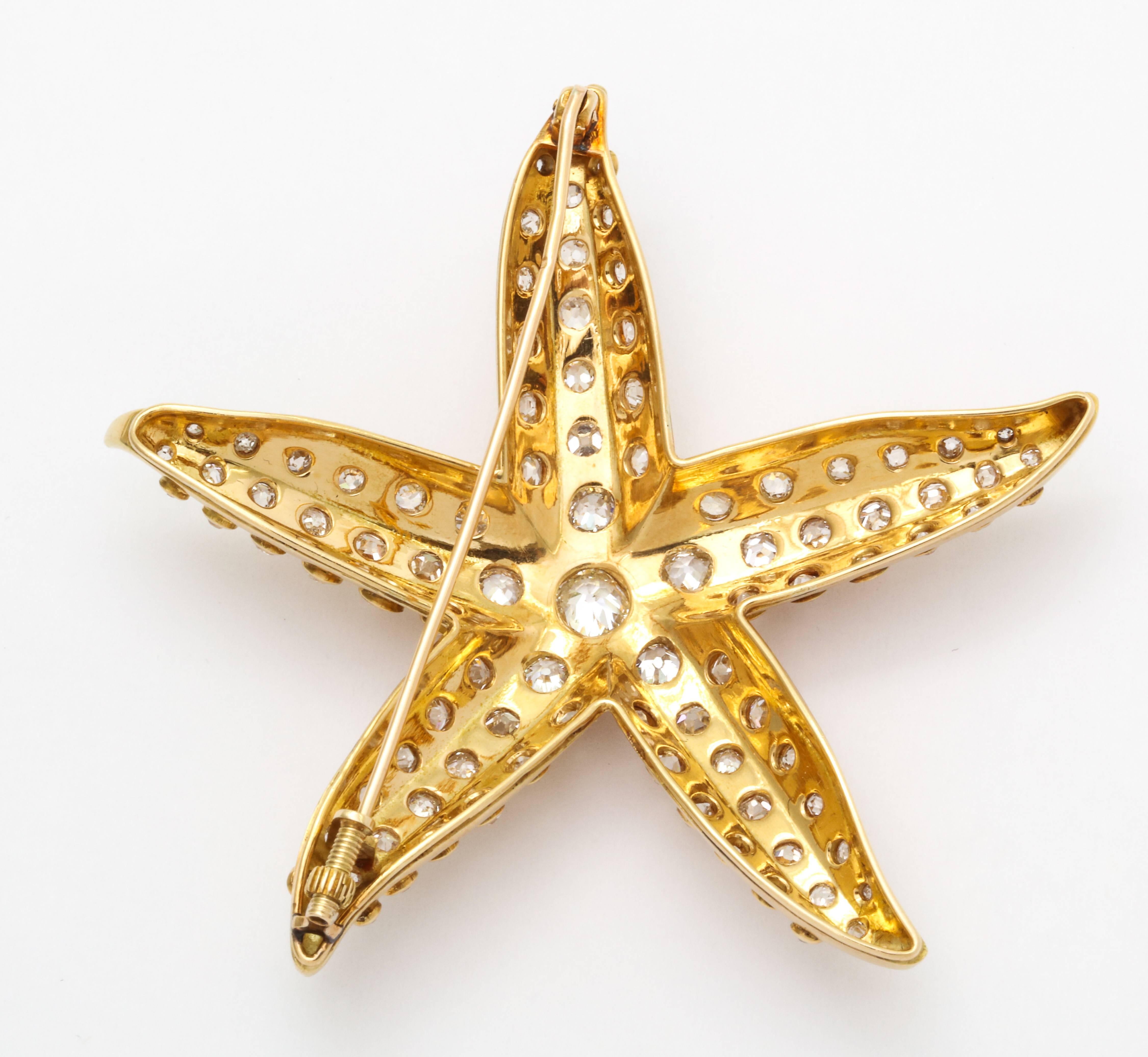 starfish brooch boivin