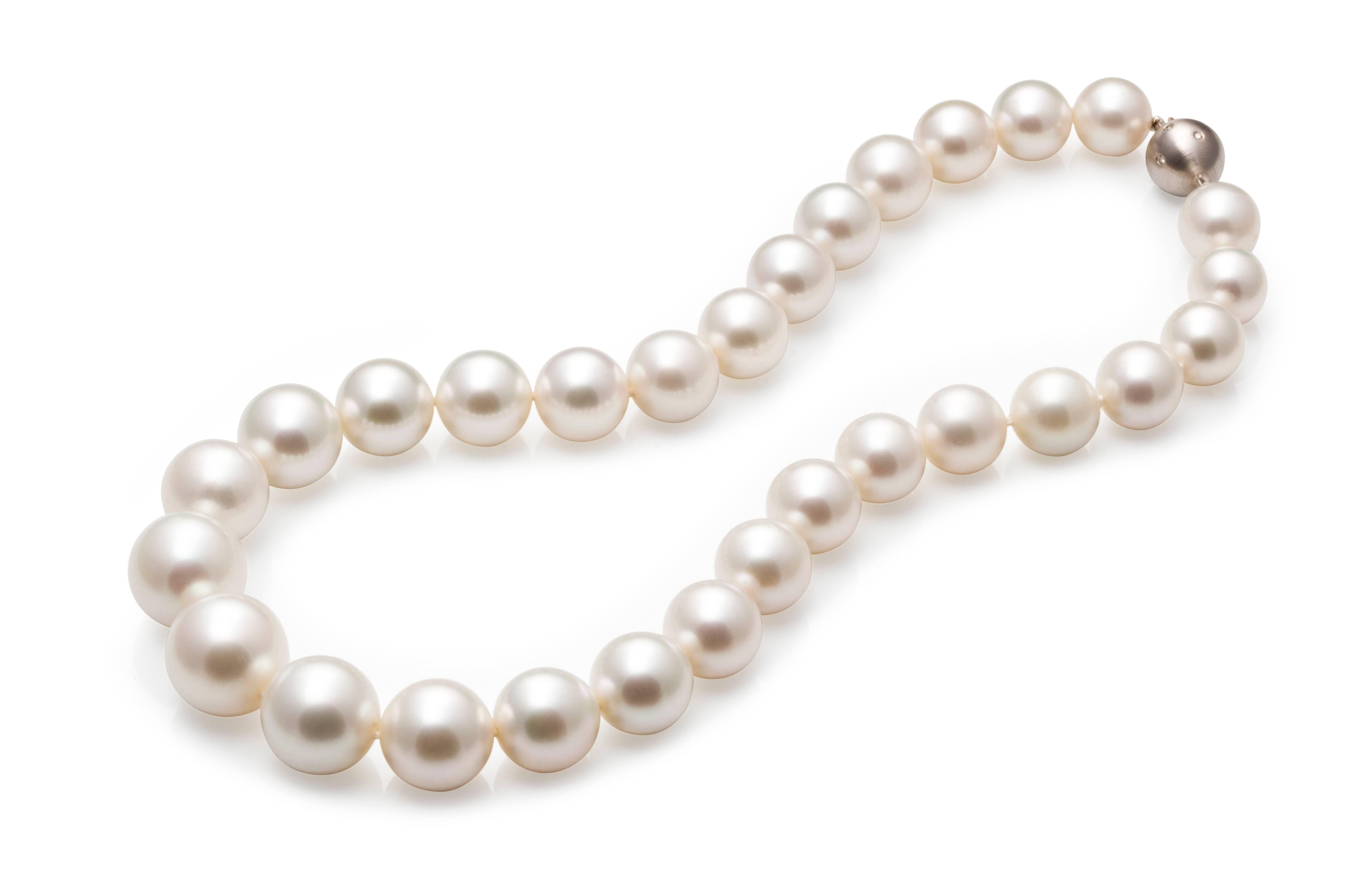 Stunning Australian South Sea pearls...

This large sized strand of pearls with sizes from 13mm/0.51 inches at the clasp to a center front pearl of 18.7mm/0.73 inches 

All pearls are round in shape and very evenly matched in their luster, surface