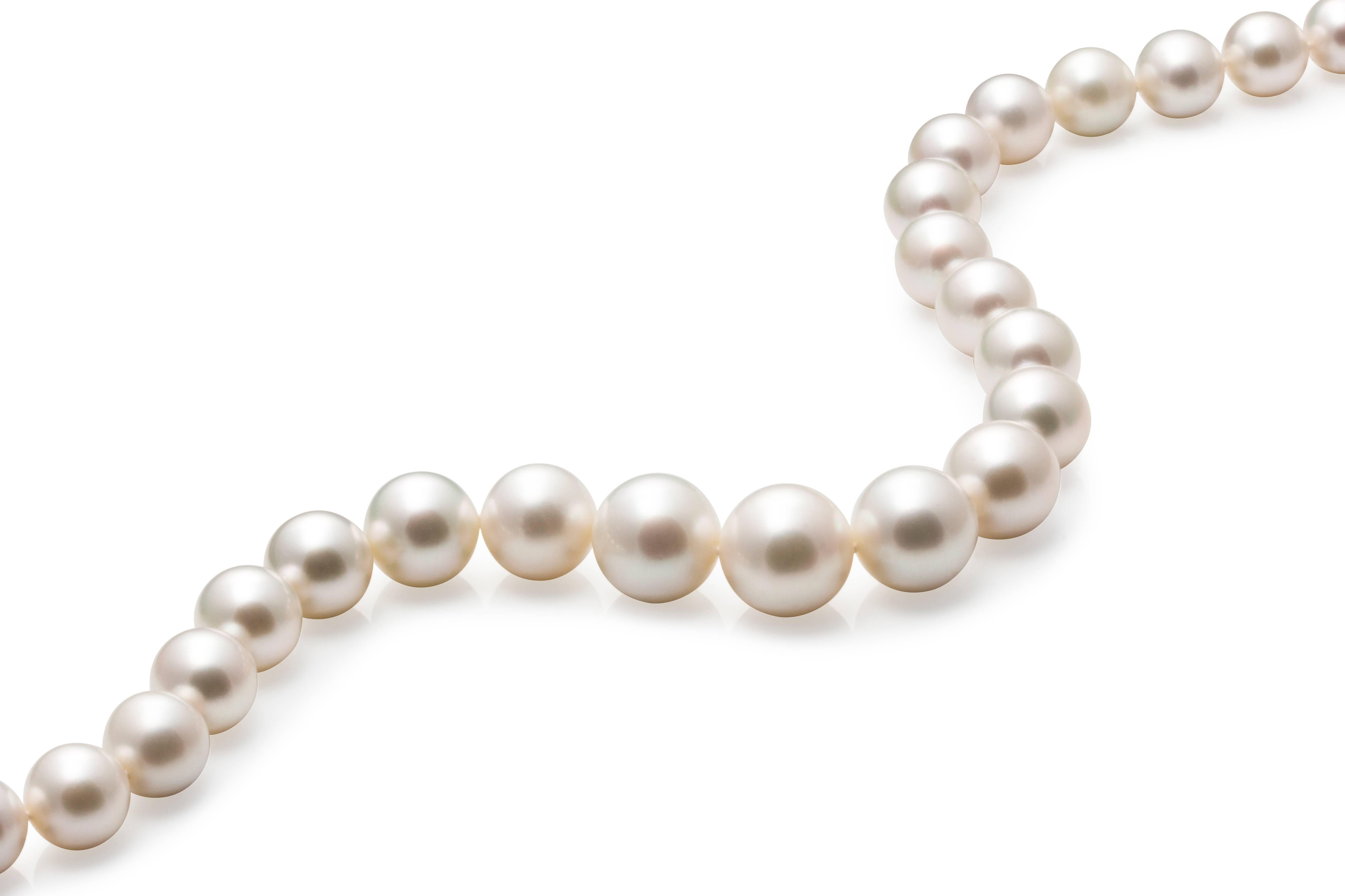 Modern Australian High Luster White 13-18.7mm South Sea Round Pearl Necklace For Sale