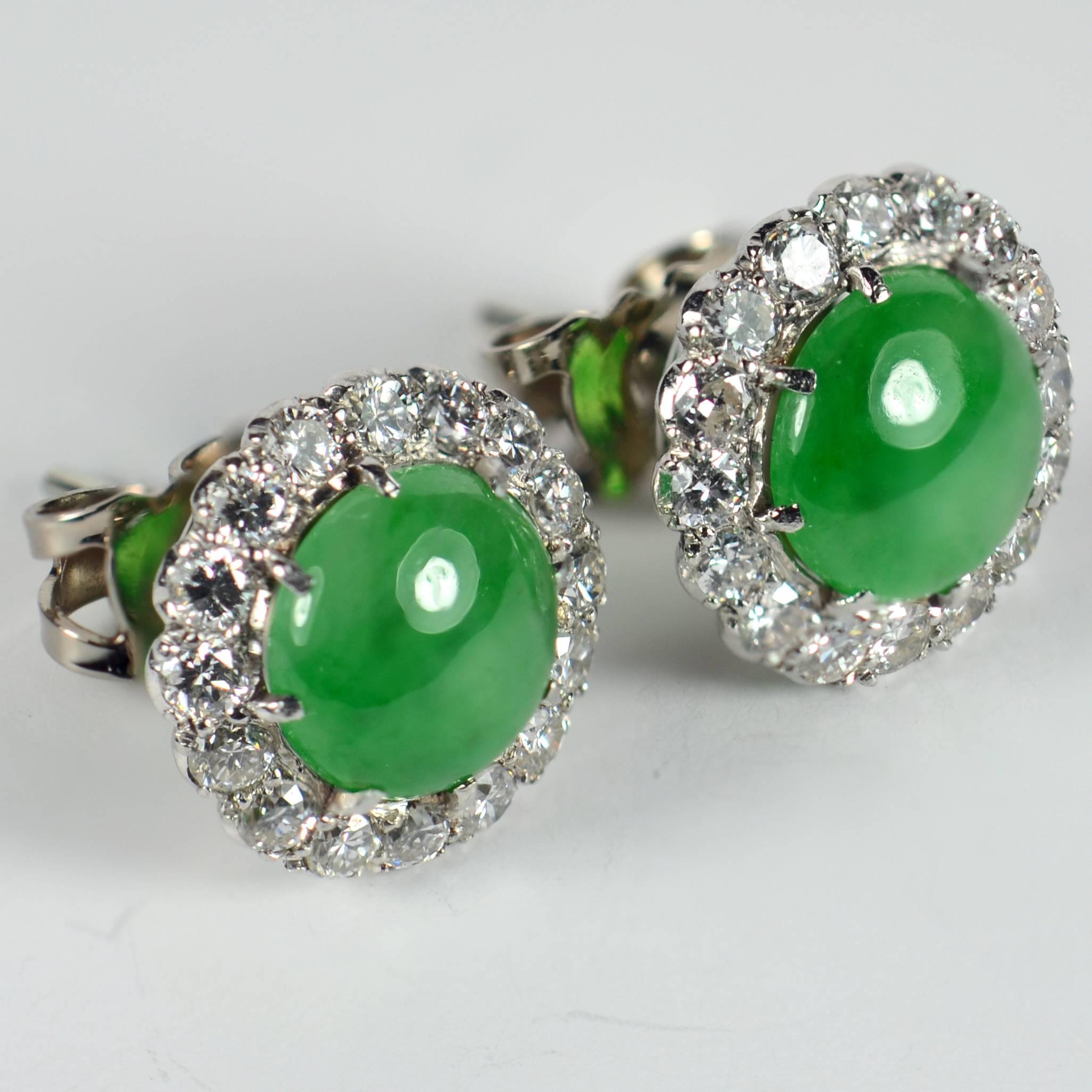 A pair of simple, elegant, cluster stud earrings with untreated green jadeite jade round cabochons surrounded by diamonds. The untreated jadeite is a lovely intense green with good translucency and a relatively even distribution of colour. The 32