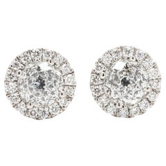 Stud Earrings