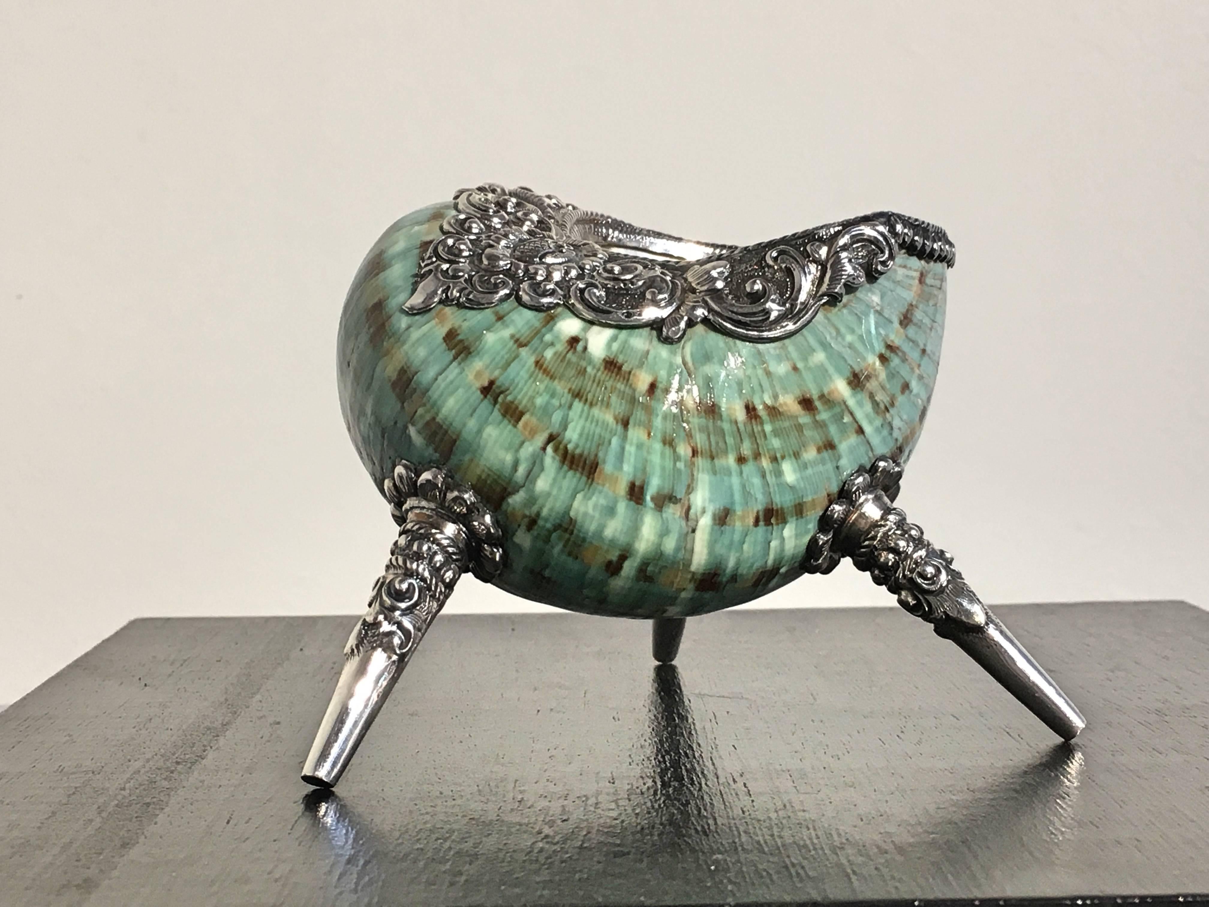 A truly elegant objet de vertu comprised of a large green turbo snail shell mounted in sterling silver, resting to three sterling silver legs. 
The shell of a vibrant sea foam green, with beautiful brown striations throughout. The heavy sterling